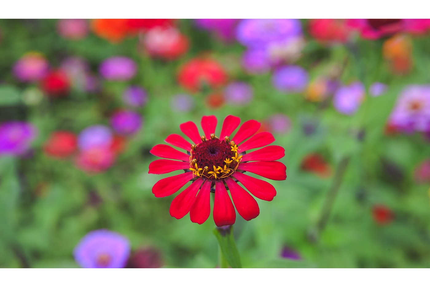 PHOTO BY  | Canon EOS-1Ds Mark III | 2016:10:27 12:30:38 | ISO-20971840 | 25000/1000000 sec | f 6.3 | 70 mm | EV=4294.3 | ● WIDTH:1400 pixels  HEIGHT:933 pixels