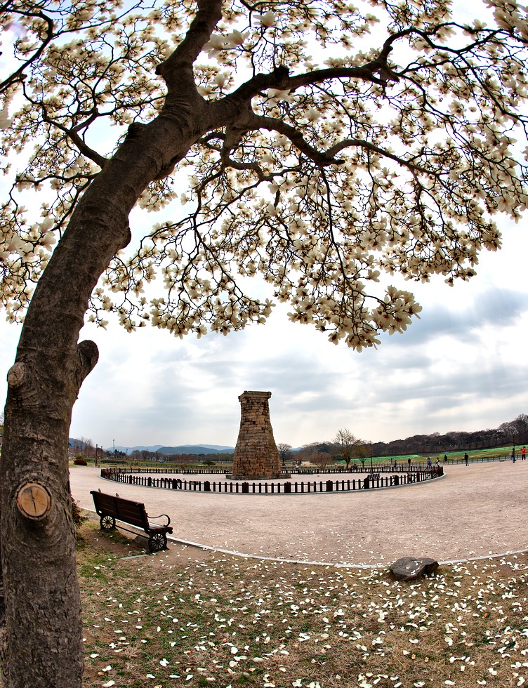 PHOTO BY  | Canon EOS-1Ds Mark III | 2018:03:29 10:26:53 | ISO-3276850 | 1563/1000000 sec | f 6.3 | 15 mm | EV=4294.3 | ● WIDTH:752 pixels  HEIGHT:980 pixels