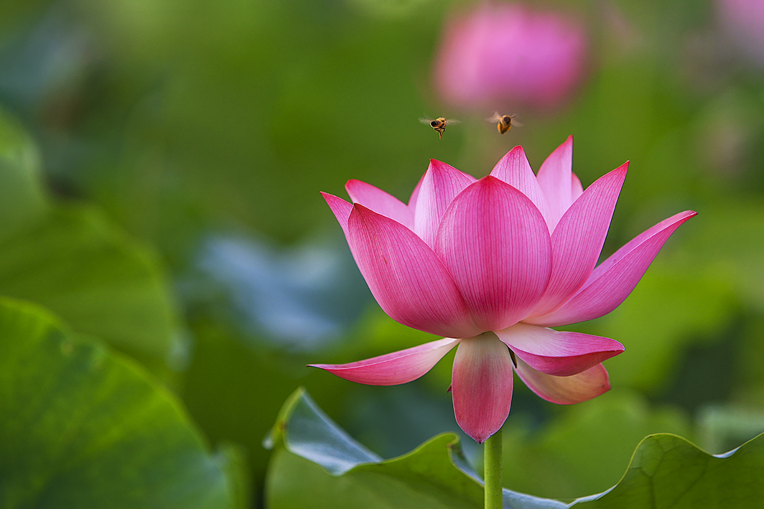 PHOTO BY  | CanonCanon  |  | ISO- |  |  |  | EV=0 | ● WIDTH:  HEIGHT: