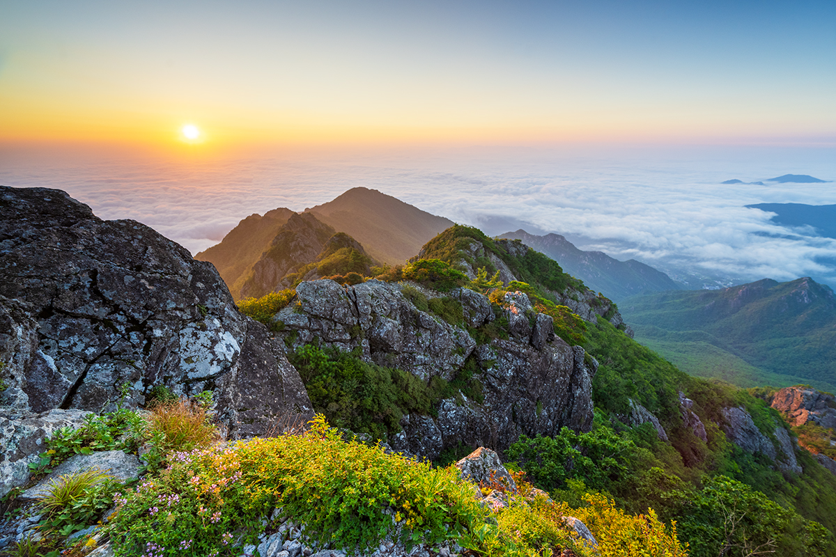 PHOTO BY  | NIKON Z 7_2 | 2024:08:02 05:40:51 | ISO-250 | 1/40 sec | f 7.1 | 15.5 mm | EV=0 | ● WIDTH:1200 pixels  HEIGHT:800 pixels