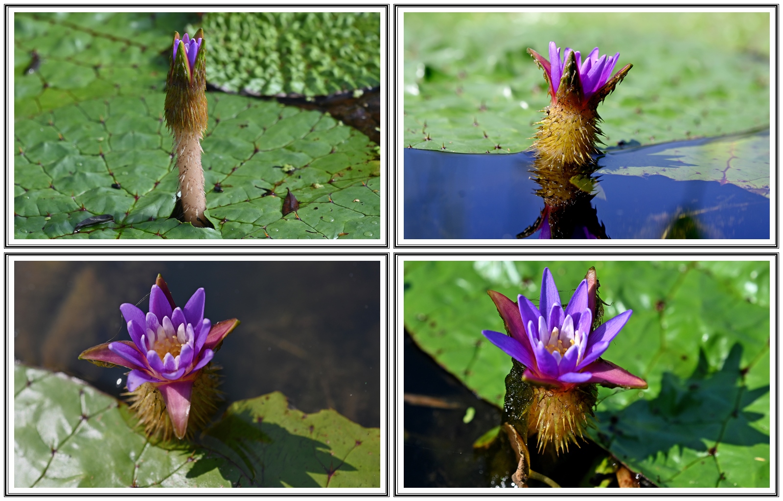 | PHOTO BY : 청산이종원  |