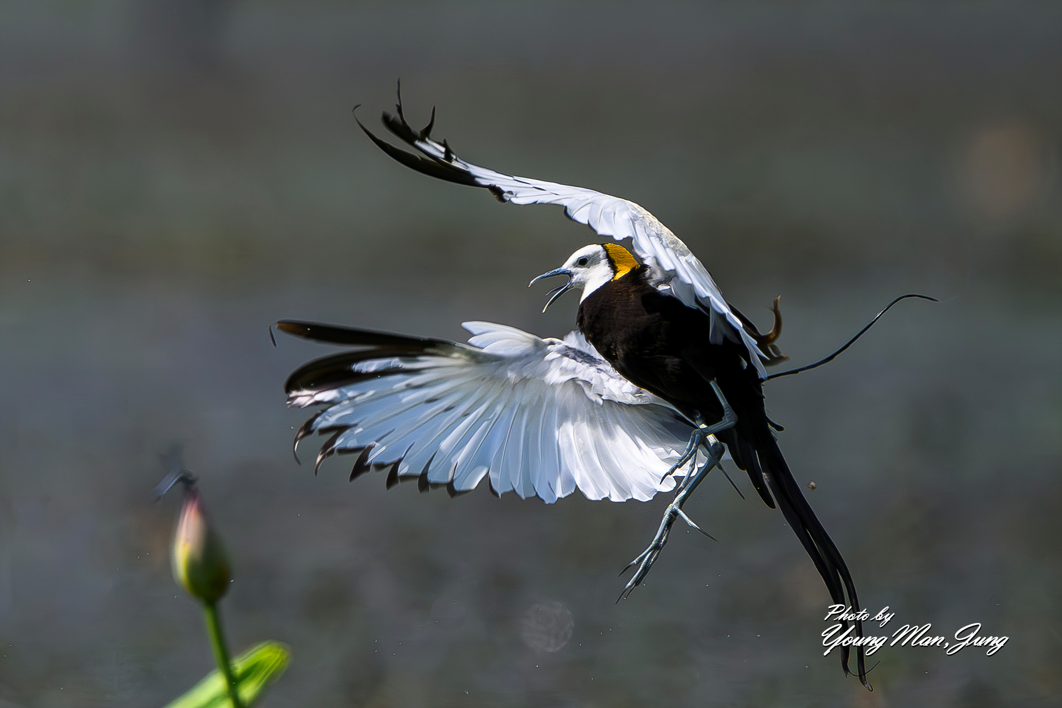 | PHOTO BY : 카파/정영만  |