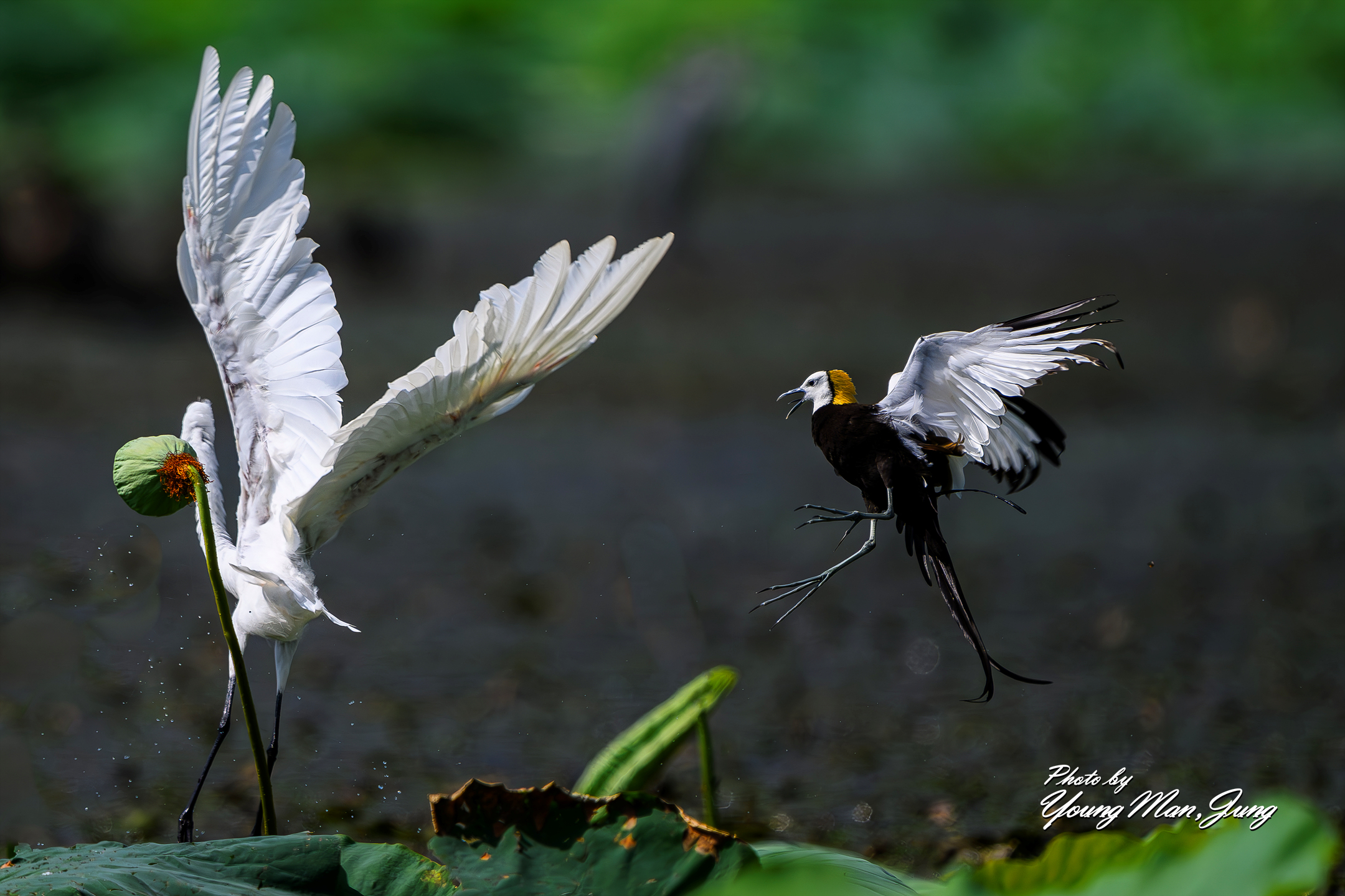 | PHOTO BY : 카파/정영만  |