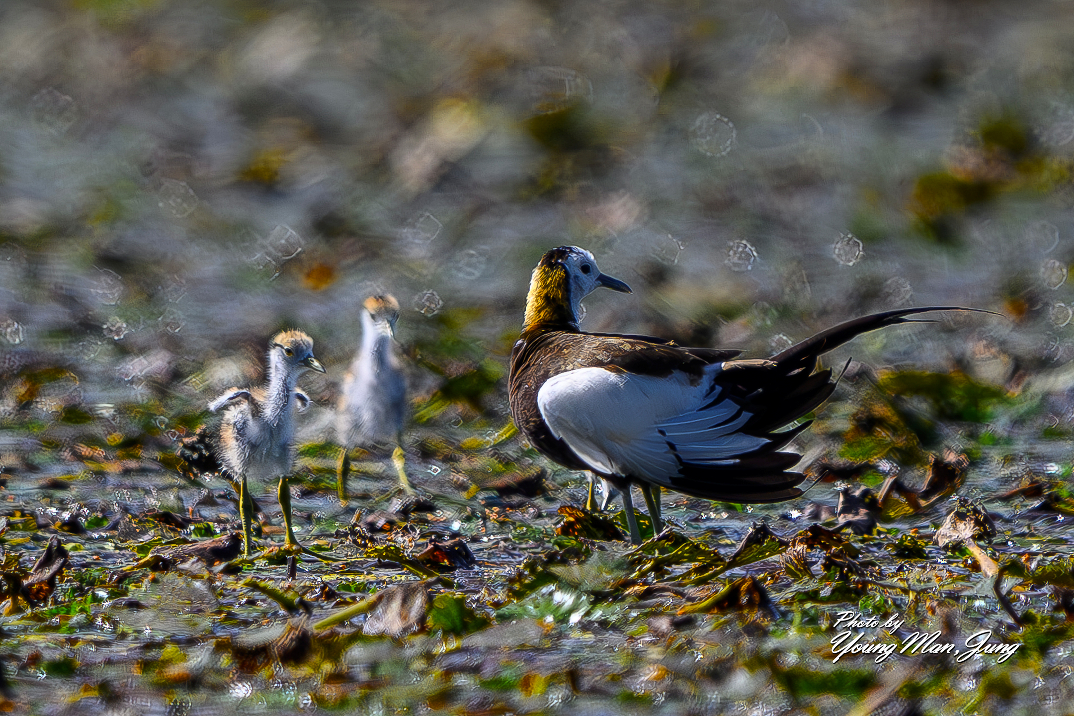 | PHOTO BY : 카파/정영만  |