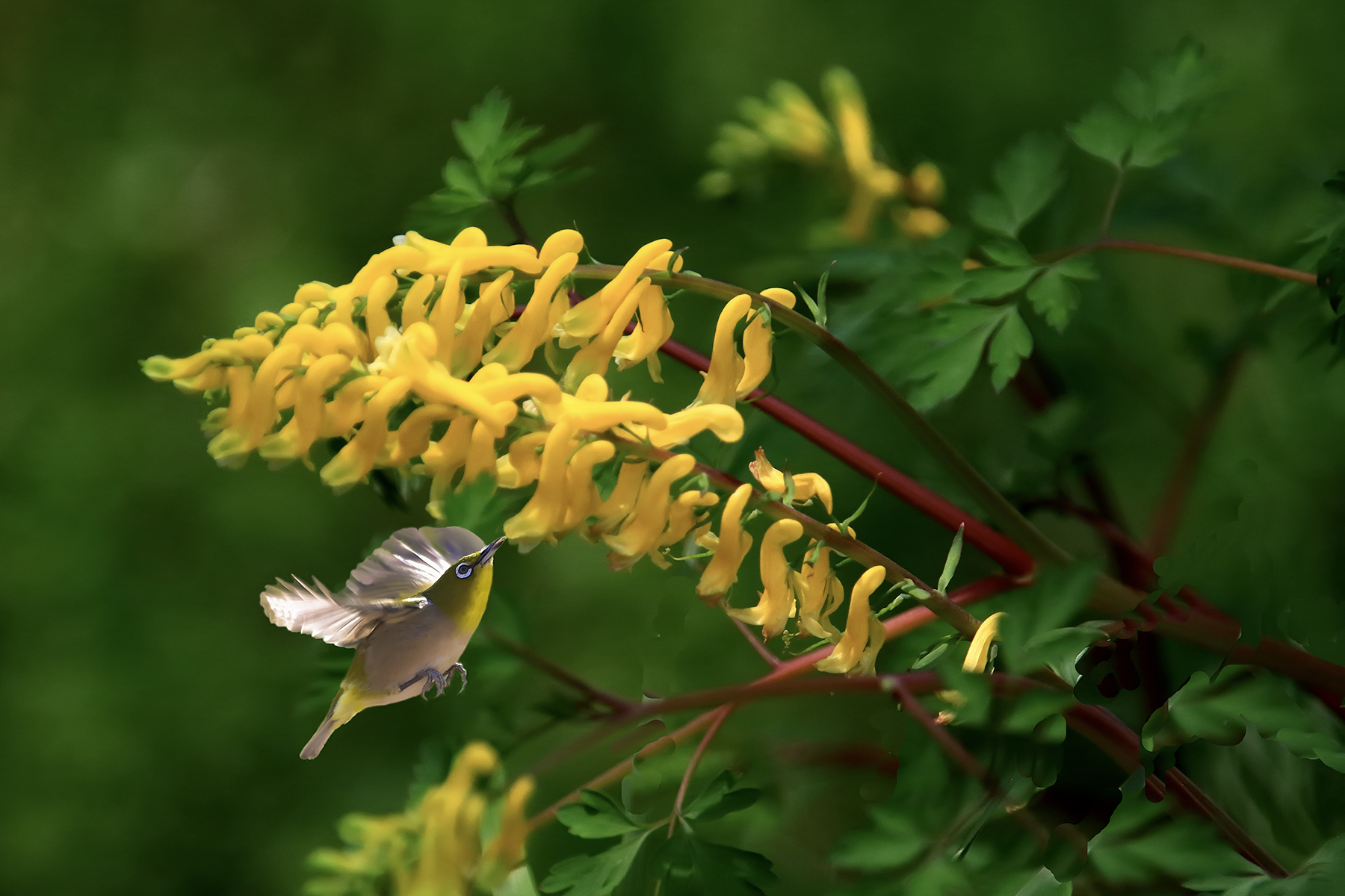 PHOTO BY ChoiJunqSeop | Canon EOS-1D X Mark II | 2024:07:28 18:20:41 | ISO-800 | 1/60 sec | f 6.3 | 275 mm | EV=0.3 | ● WIDTH:1800 pixels  HEIGHT:1200 pixels