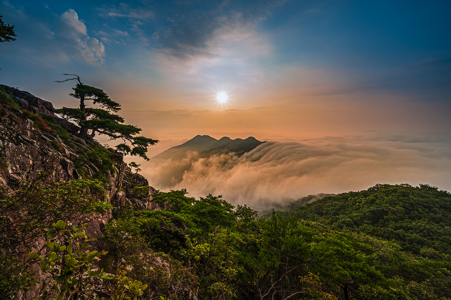 PHOTO BY  | NIKON Z 6_2 | 2024:08:04 06:32:08 | ISO-200 | 1/125 sec | f 16 | 15 mm | EV=-0.3 | ● WIDTH:1500 pixels  HEIGHT:998 pixels