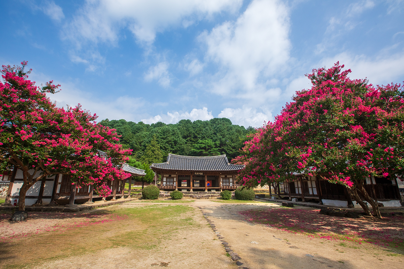 PHOTO BY  | Canon EOS 5D Mark IV | 2024:08:04 09:20:26 | ISO-400 | 1/500 sec | f 11 | 16 mm | EV=0 | ● WIDTH:1400 pixels  HEIGHT:933 pixels