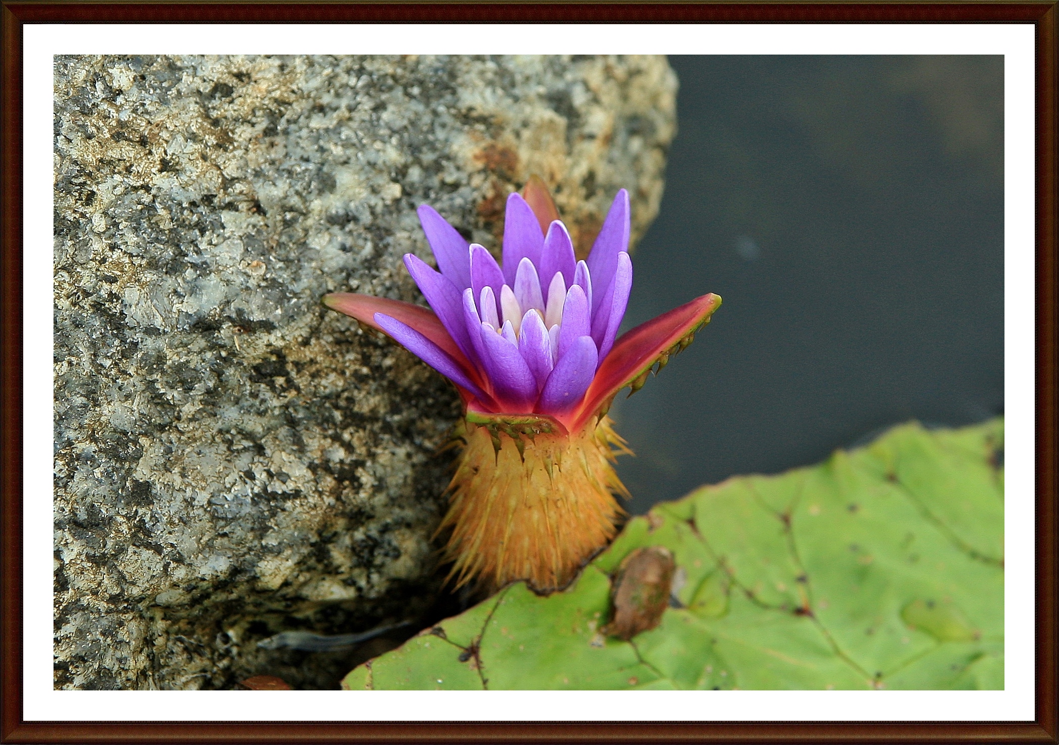 PHOTO BY  | Canon EOS-1D Mark III | 2024:08:05 08:49:10 | ISO-320 | 1/500 sec | f 5 | 200 mm | EV=0 | ● WIDTH:3888 pixels  HEIGHT:2592 pixels