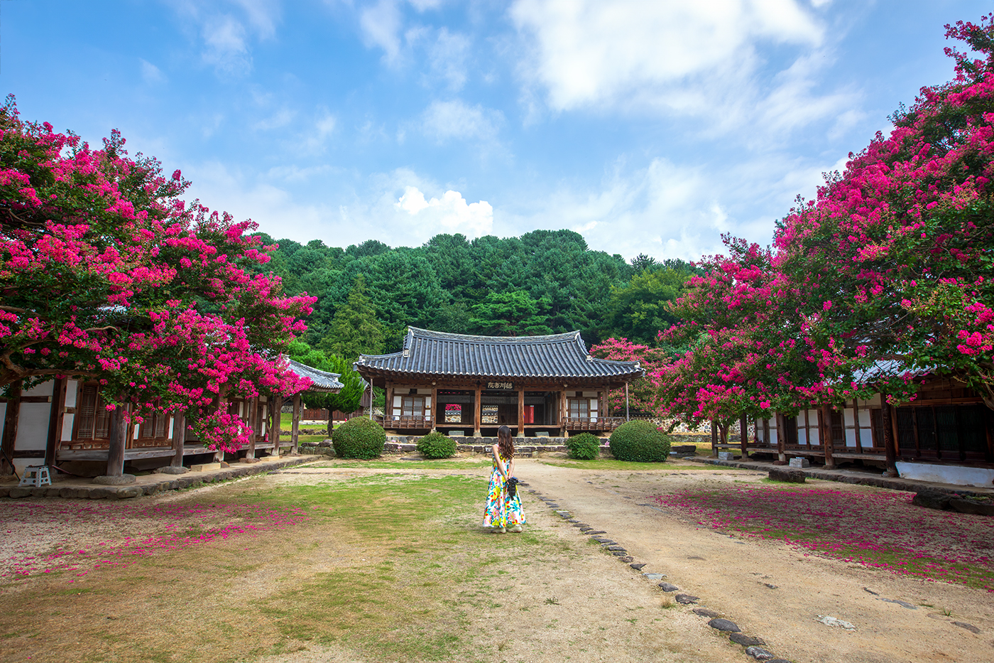 PHOTO BY  | Canon EOS 5D Mark IV | 2024:08:04 09:15:31 | ISO-400 | 1/320 sec | f 11 | 19 mm | EV=0 | ● WIDTH:1400 pixels  HEIGHT:933 pixels