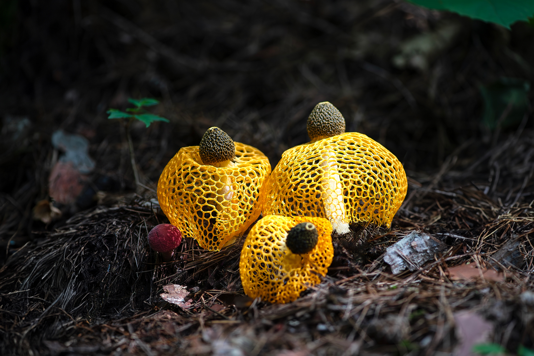 PHOTO BY  | NIKON D850 | 2024:08:05 09:32:05 | ISO-400 | 1/320 sec | f 4 | 105 mm | EV=-1 | ● WIDTH:1700 pixels  HEIGHT:1133 pixels