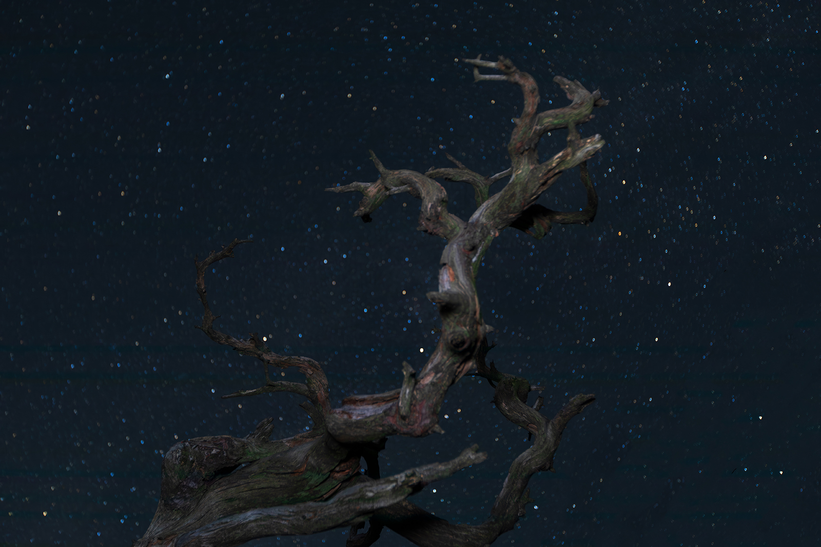 PHOTO BY  | Canon EOS 5D Mark IV | 2024:08:04 03:27:39 | ISO-1000 | 30/1 sec | f 2.8 | 35 mm | EV=0 | ● WIDTH:1600 pixels  HEIGHT:1067 pixels