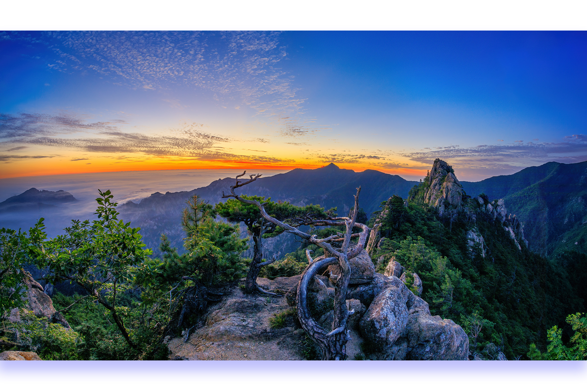 PHOTO BY :07:02 22:00:52photographer
PARK S | CanonCanon |  | ISO- |  |  |  | EV=0 | ● WIDTH:  HEIGHT: