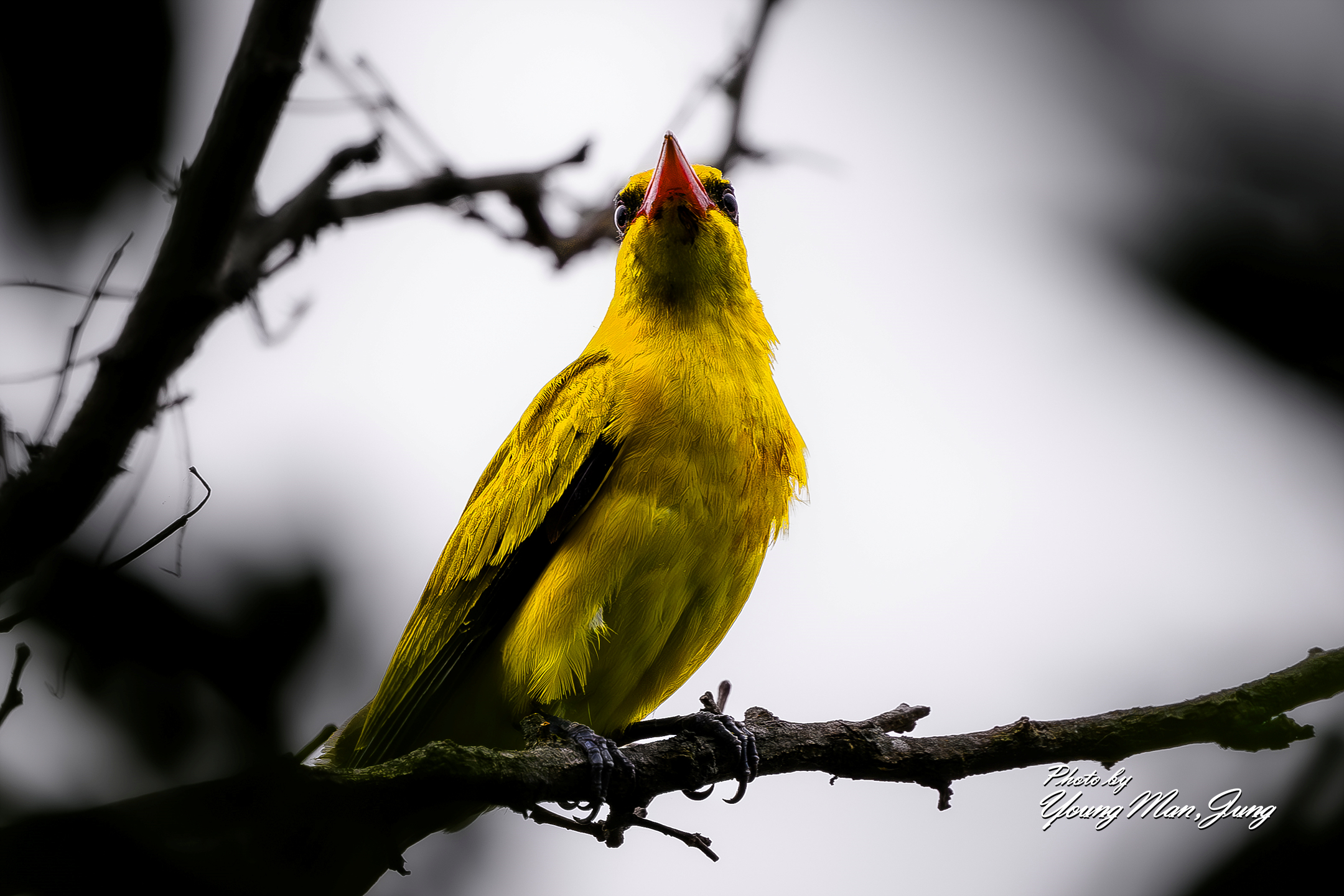   | PHOTO BY : 카파/정영만  |