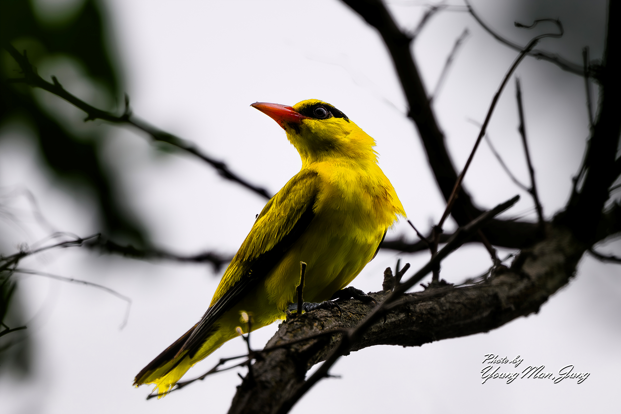   | PHOTO BY : 카파/정영만  |