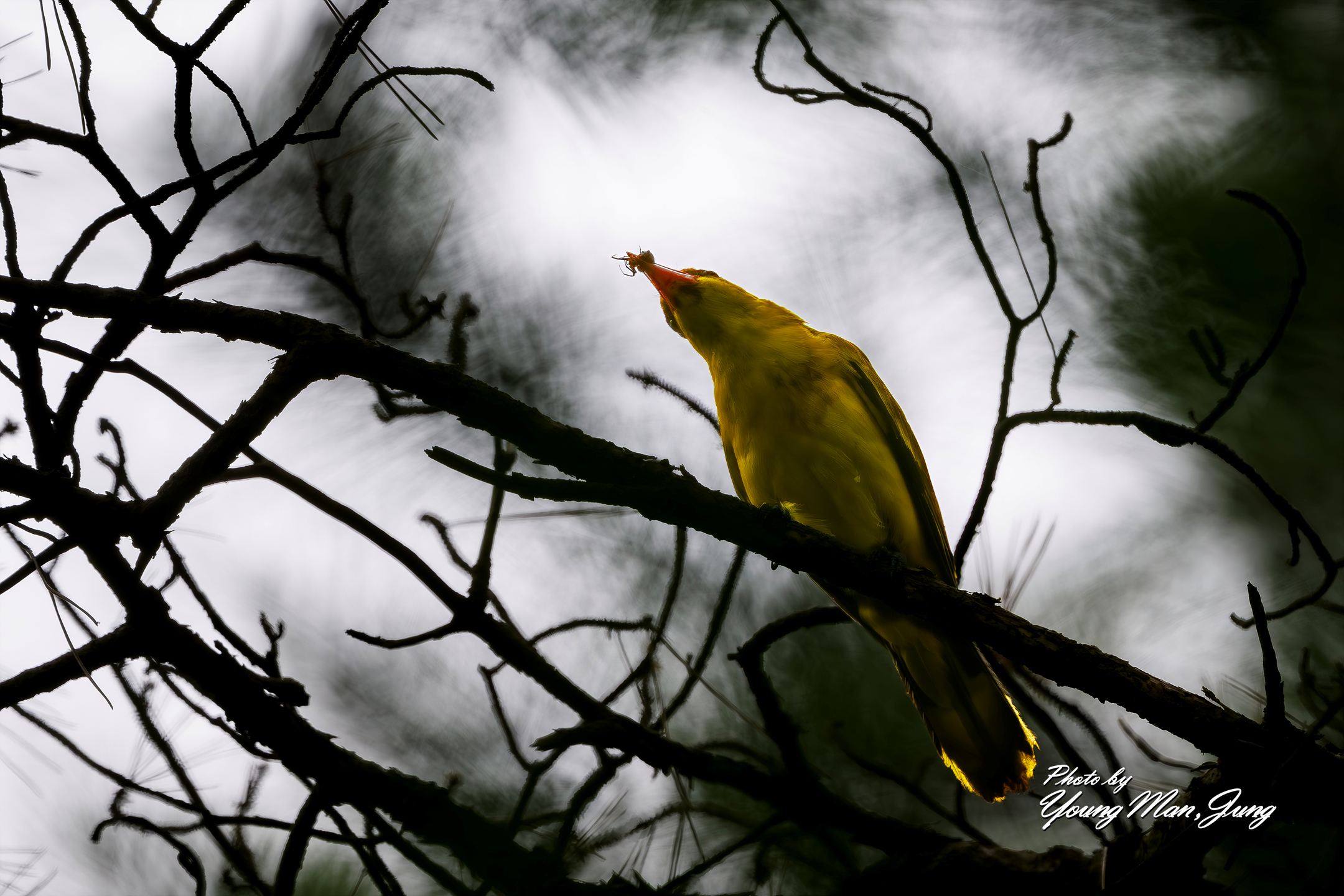   | PHOTO BY : 카파/정영만  |