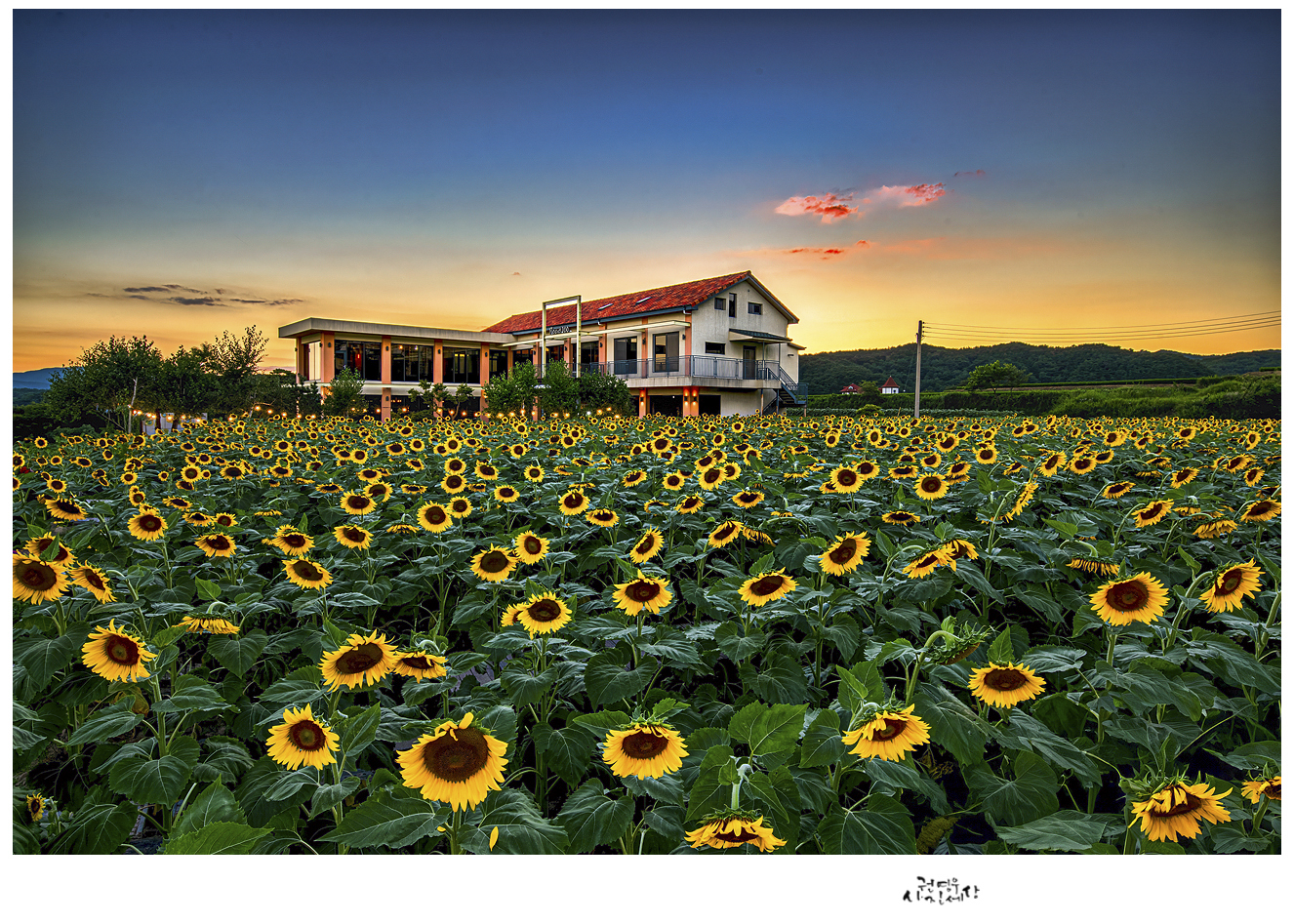 PHOTO BY Kwon Young Woo | NIKON D850 | 2024:07:29 19:23:15 | ISO-100 | 1/25 sec | f 13 | 20 mm | EV=-1.7 | ● WIDTH:1326 pixels  HEIGHT:947 pixels