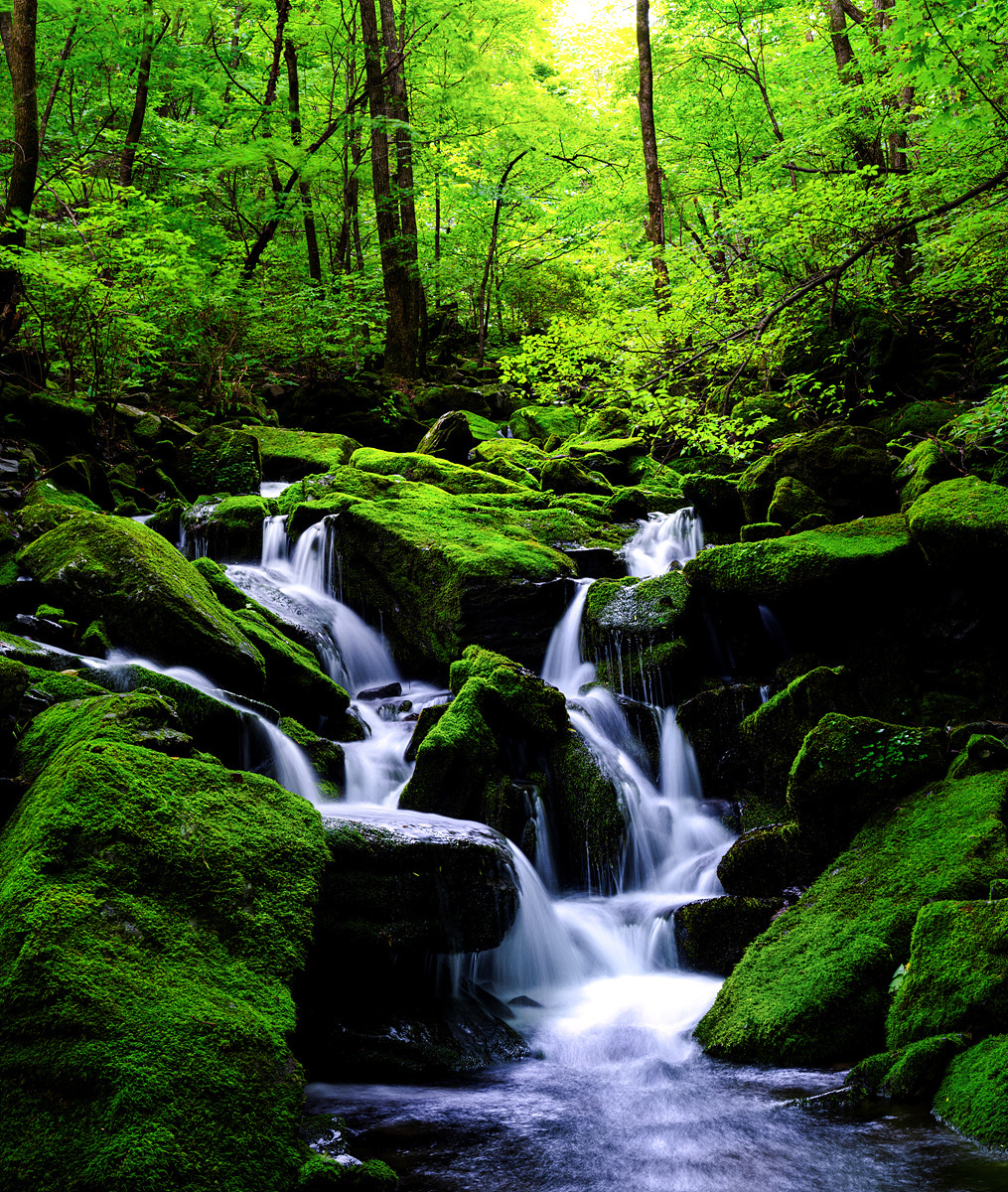 PHOTO BY  | GFX100S | 2024:07:29 09:55:45 | ISO-100 | 2/1 sec | f 13 | 35 mm | EV=0 | ● WIDTH:1015 pixels  HEIGHT:1200 pixels