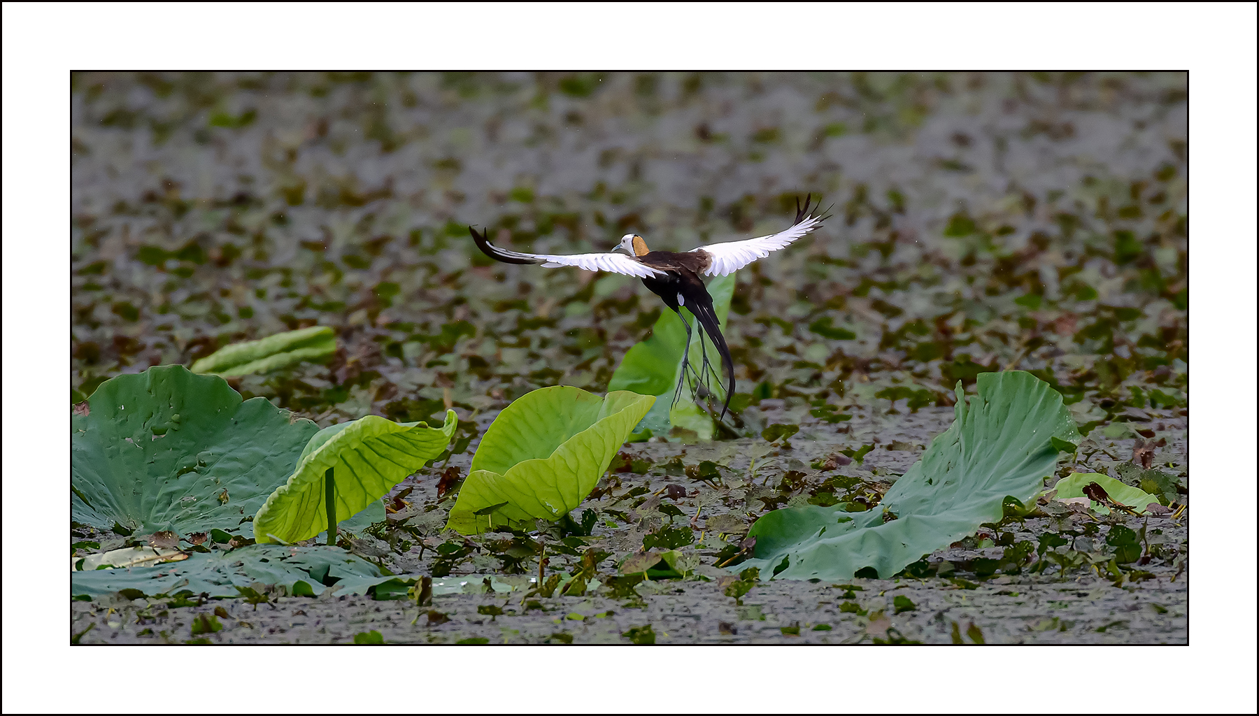 | PHOTO BY : Photo No Data |