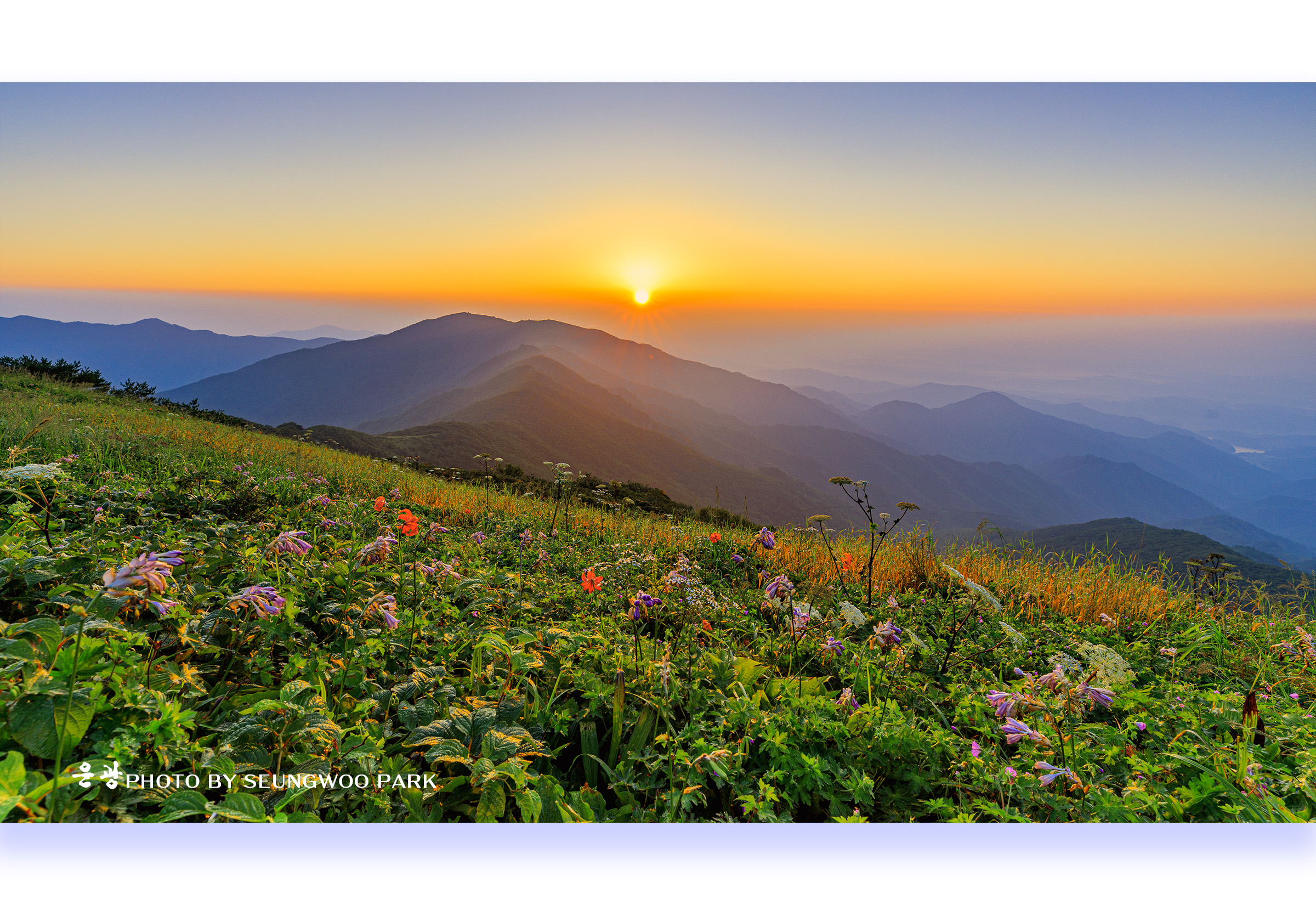 PHOTO BY PARK SEUNGWOO | Canon EOS 5D Mark IV | 2024:08:04 06:04:47 | ISO-200 | 1/8 sec | f 9 | 16 mm | EV=0 | ● WIDTH:2400 pixels  HEIGHT:1650 pixels