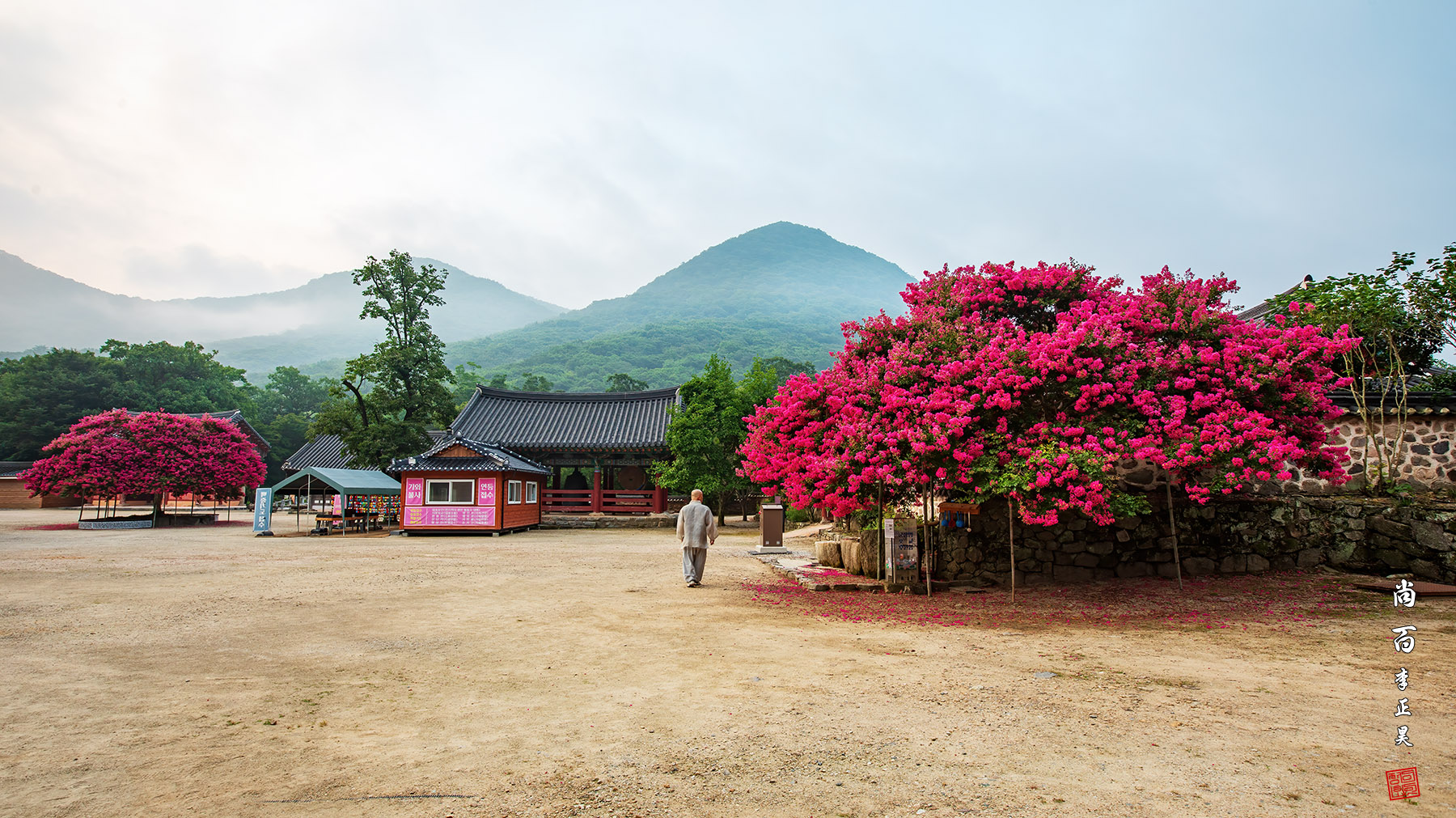 PHOTO BY  | Canon EOS 5D Mark IV | 2024:08:03 06:12:37 | ISO-200 | 1/25 sec | f 9 | 18 mm | EV=0 | ● WIDTH:1800 pixels  HEIGHT:1011 pixels