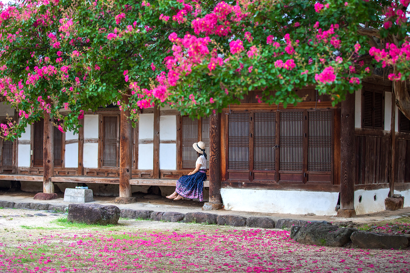 PHOTO BY  | Canon EOS 5D Mark IV | 2024:08:04 07:10:13 | ISO-320 | 1/250 sec | f 2.8 | 70 mm | EV=0 | ● WIDTH:1400 pixels  HEIGHT:933 pixels