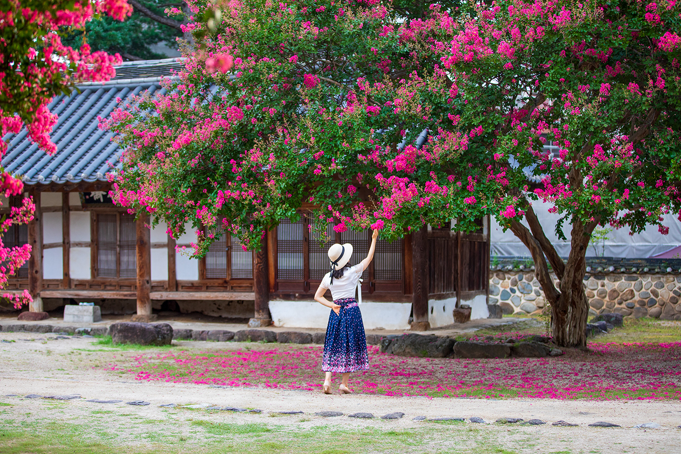 PHOTO BY  | Canon EOS 5D Mark IV | 2024:08:04 07:14:21 | ISO-320 | 1/400 sec | f 2.8 | 70 mm | EV=0 | ● WIDTH:1400 pixels  HEIGHT:933 pixels