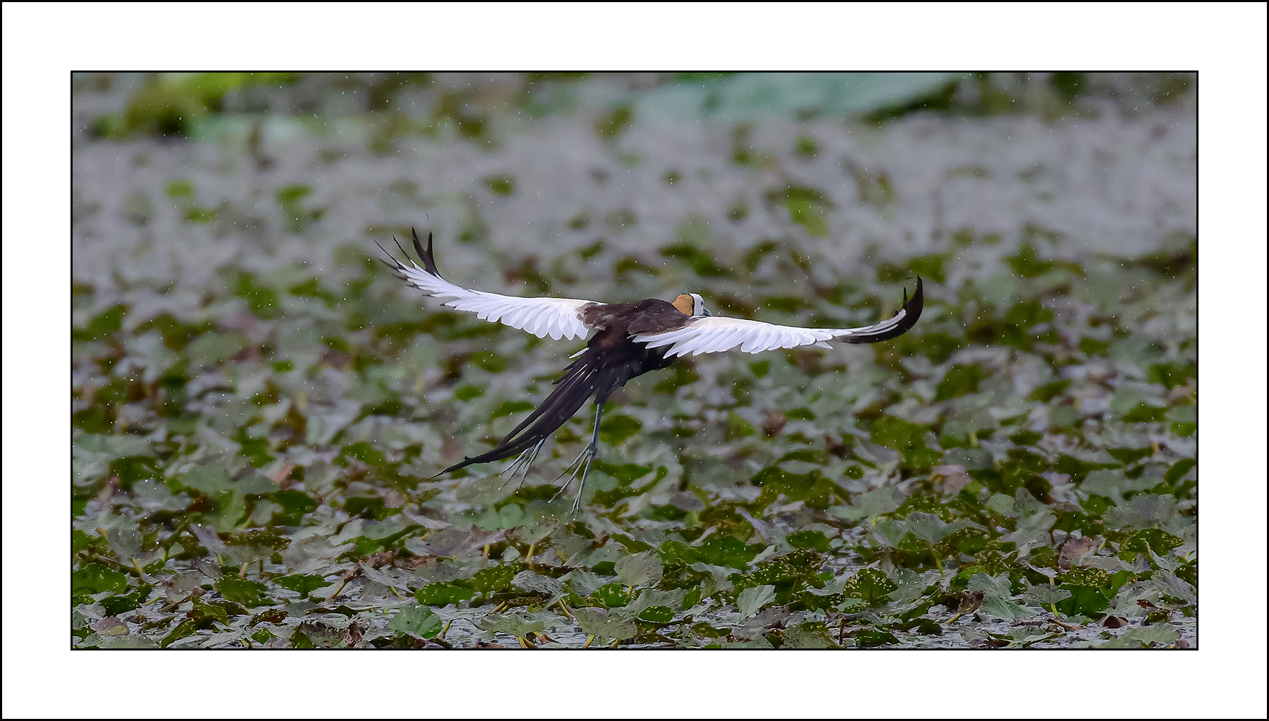   | PHOTO BY : Photo No Data |