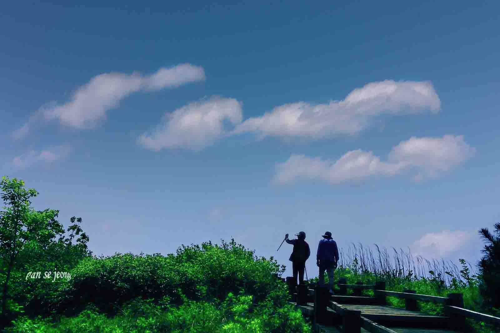 PHOTO BY  | Canon EOS 40D | 2018:05:15 10:51:05 | ISO-125 | 1/1000 sec | f 11 | 19 mm | EV=-0.3 | ● WIDTH:1600 pixels  HEIGHT:1067 pixels