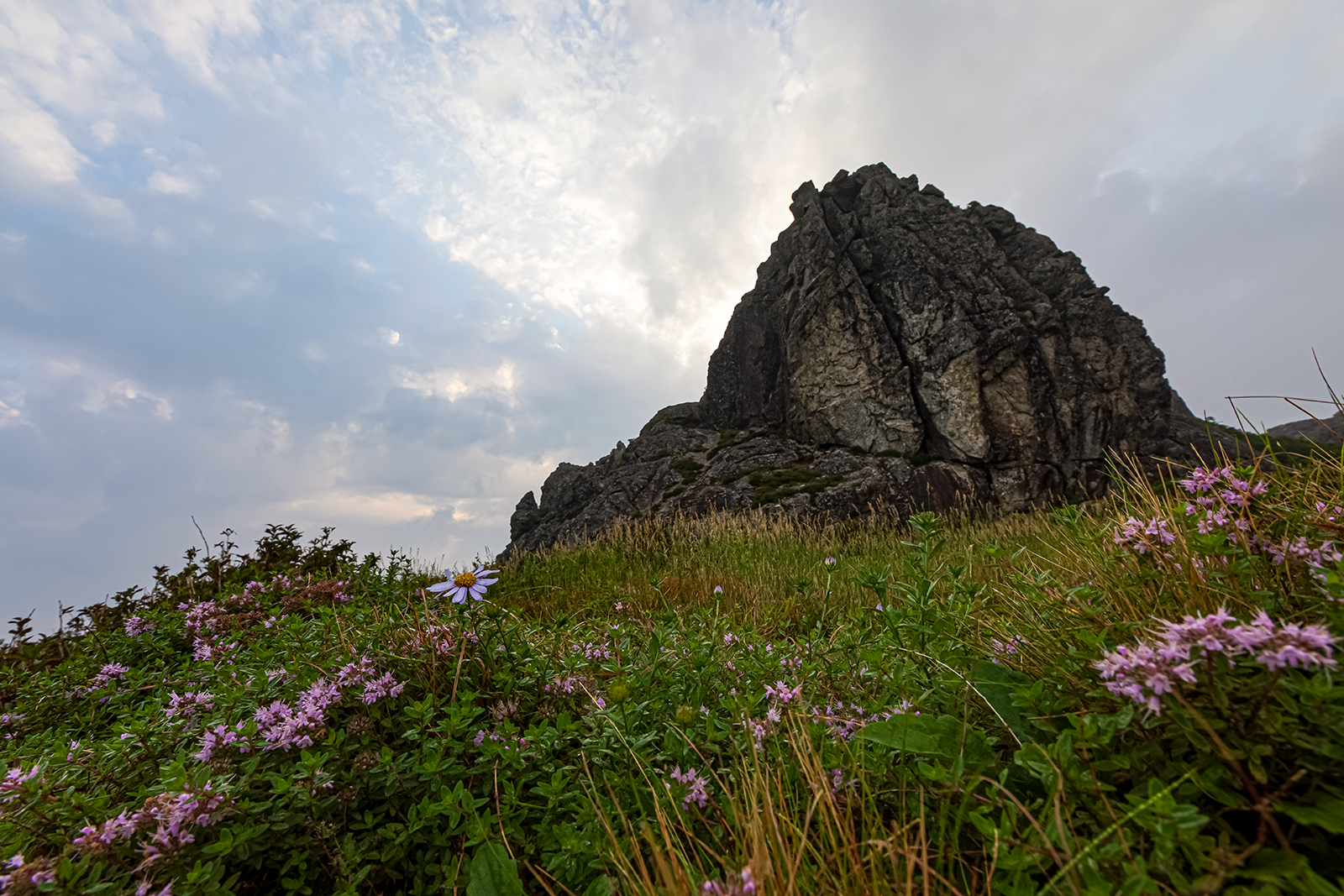 PHOTO BY  | Canon EOS 5D Mark IV | 2024:08:04 06:45:35 | ISO-100 | 1/30 sec | f 16 | 16 mm | EV=0 | ● WIDTH:1600 pixels  HEIGHT:1067 pixels