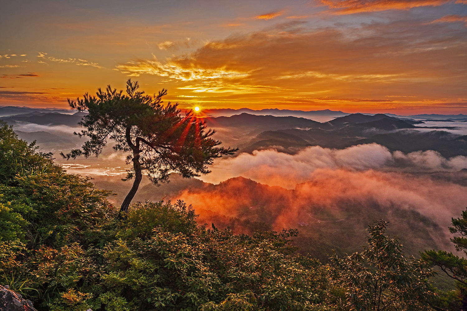 PHOTO BY  | NIKON Z 6_2 | 2024:08:06 05:50:10 | ISO-200 | 1/25 sec | f 16 | 21 mm | EV=0 | ● WIDTH:1500 pixels  HEIGHT:998 pixels