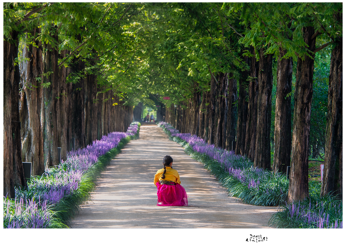 PHOTO BY  | NIKON D500 | 2024:08:07 09:59:36 | ISO-100 | 1/40 sec | f 8 | 122 mm | EV=0.3 | ● WIDTH:1326 pixels  HEIGHT:947 pixels