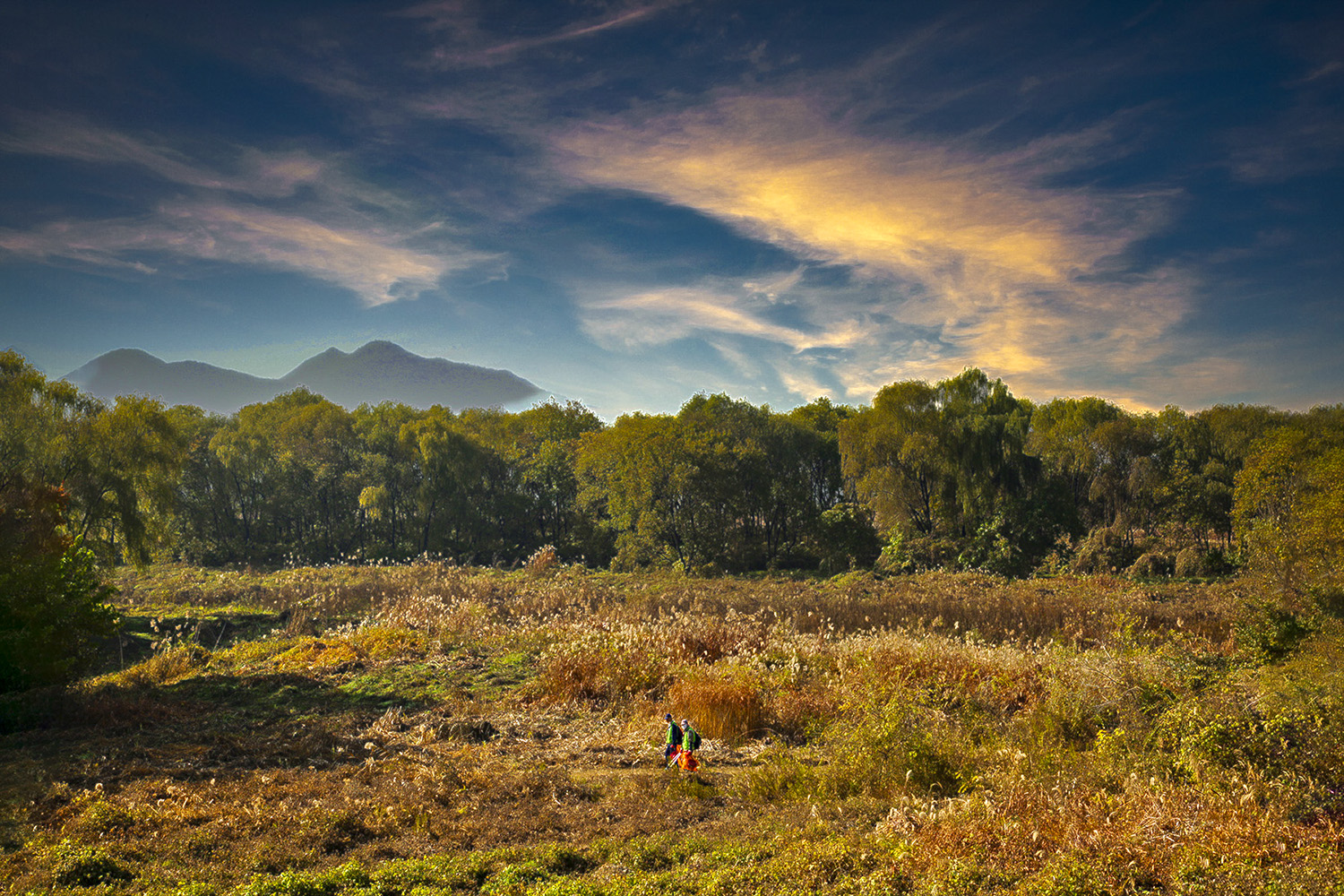 PHOTO BY  | CanonCanon  |  | ISO- |  |  |  | EV=0 | ● WIDTH:  HEIGHT: