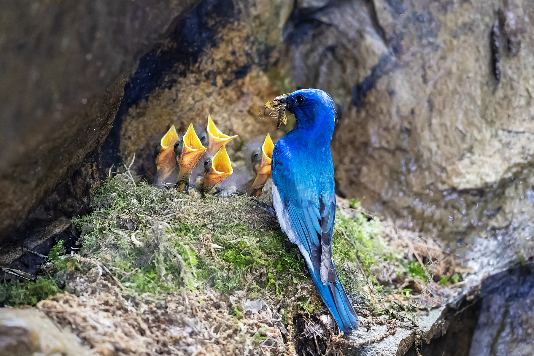 PHOTO BY ChoiJunqSeop | Canon EOS-1D X Mark II | 2024:08:05 09:42:37 | ISO-800 | 1/1600 sec | f 6.3 | 220 mm | EV=0 | ● WIDTH:1800 pixels  HEIGHT:1200 pixels