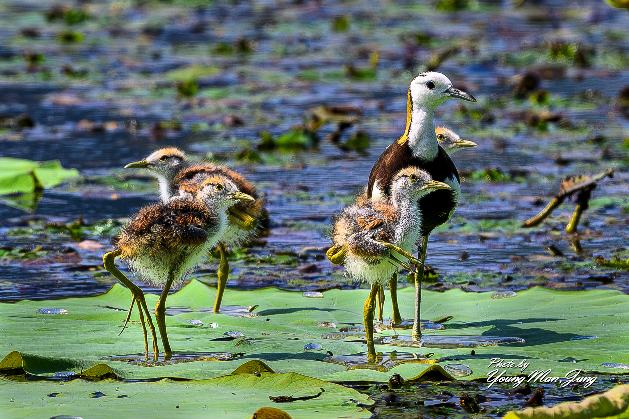 PHOTO BY | | | | | | | | :