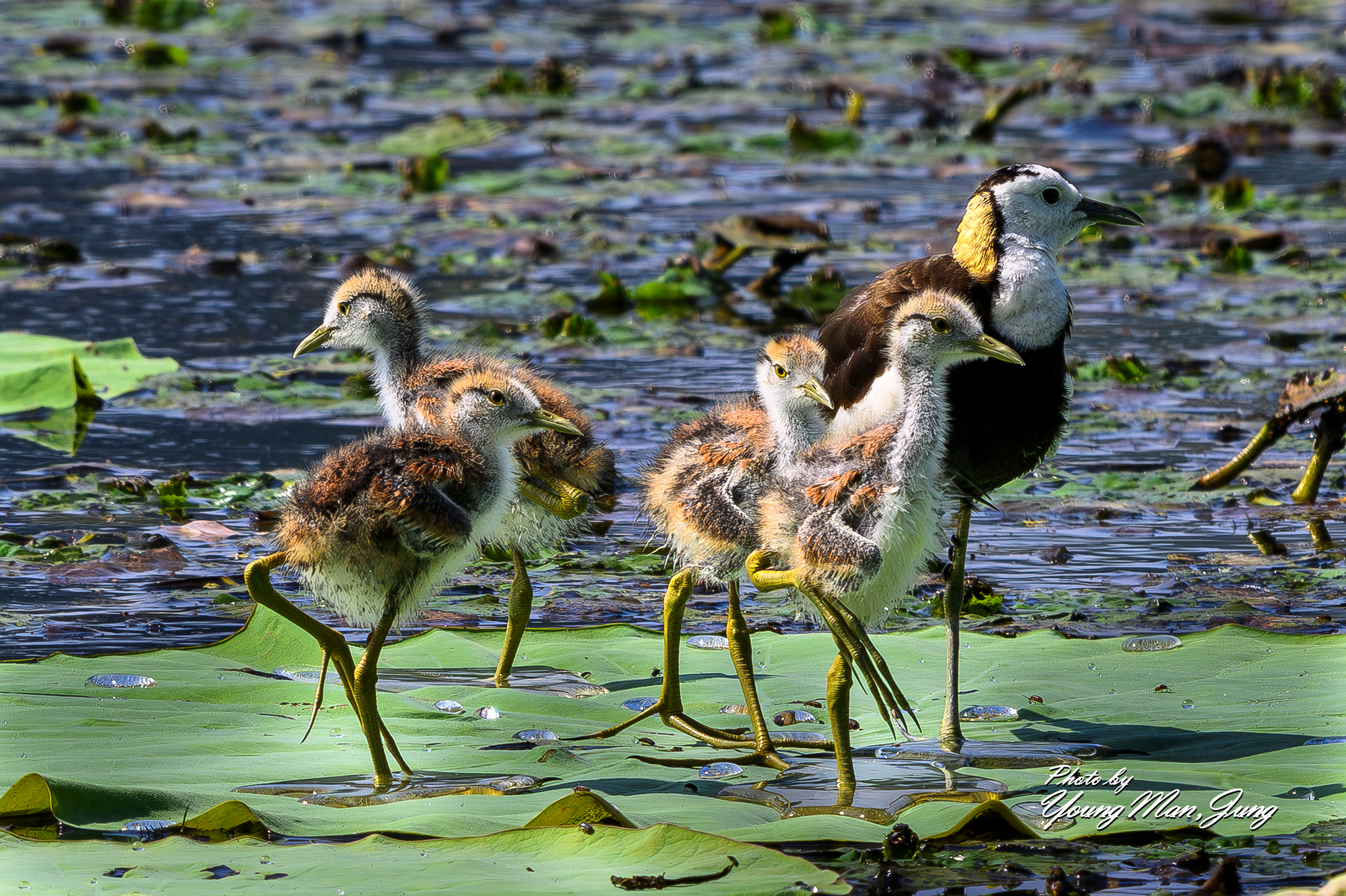 PHOTO BY | | | | | | | | :