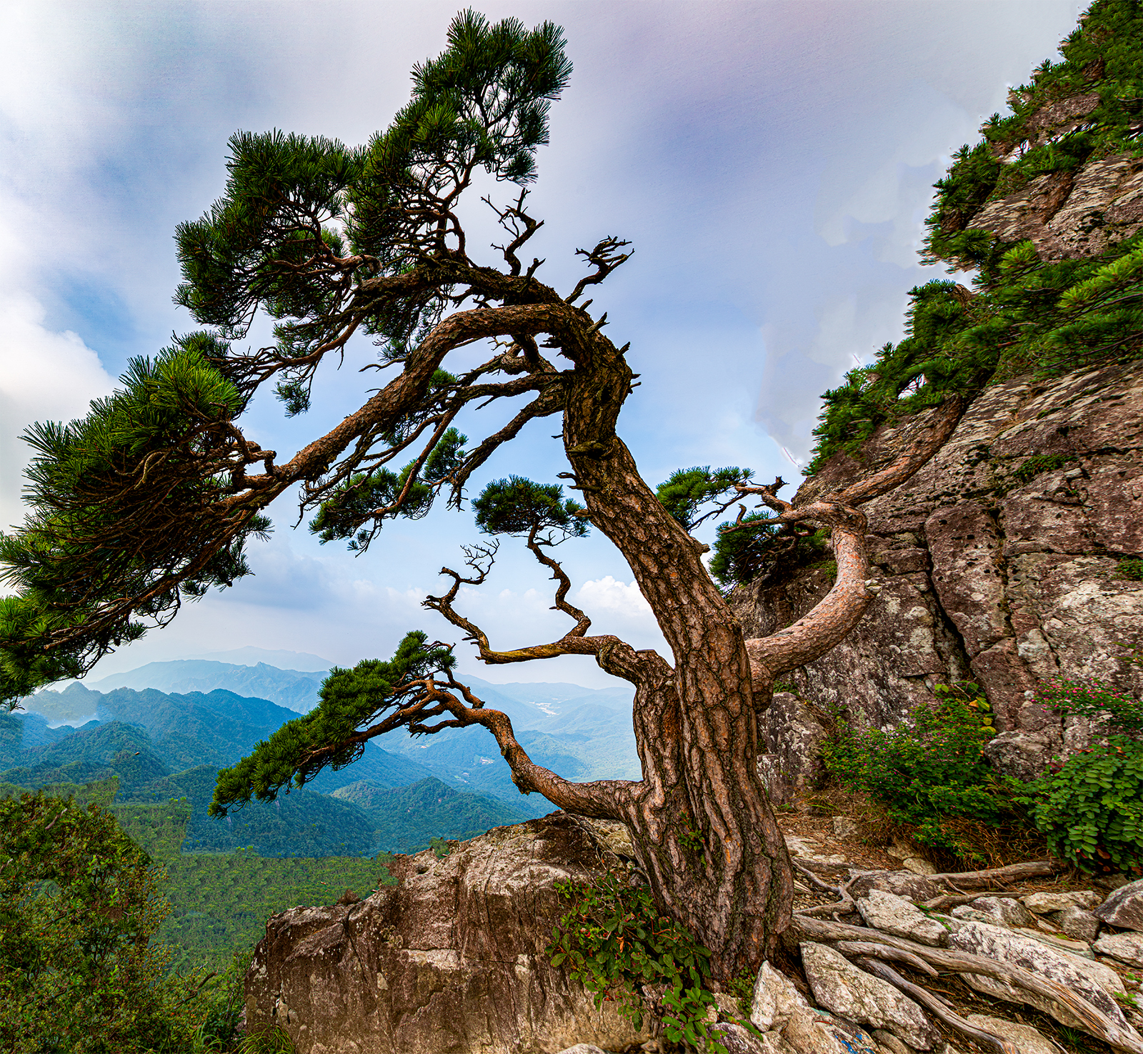 PHOTO BY  | Canon EOS 5D Mark IV | 2024:08:04 07:57:21 | ISO-100 | 1/40 sec | f 11 | 16 mm | EV=0 | ● WIDTH:1600 pixels  HEIGHT:1475 pixels