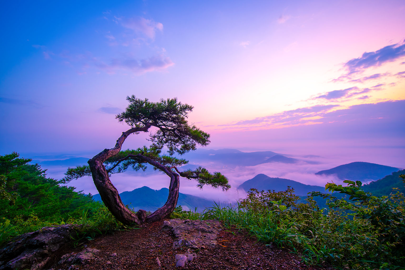 PHOTO BY  | NIKON D850 | 2024:08:05 04:58:21 | ISO-80 | 1/3 sec | f 4 | 16 mm | EV=0 | ● WIDTH:1700 pixels  HEIGHT:1133 pixels