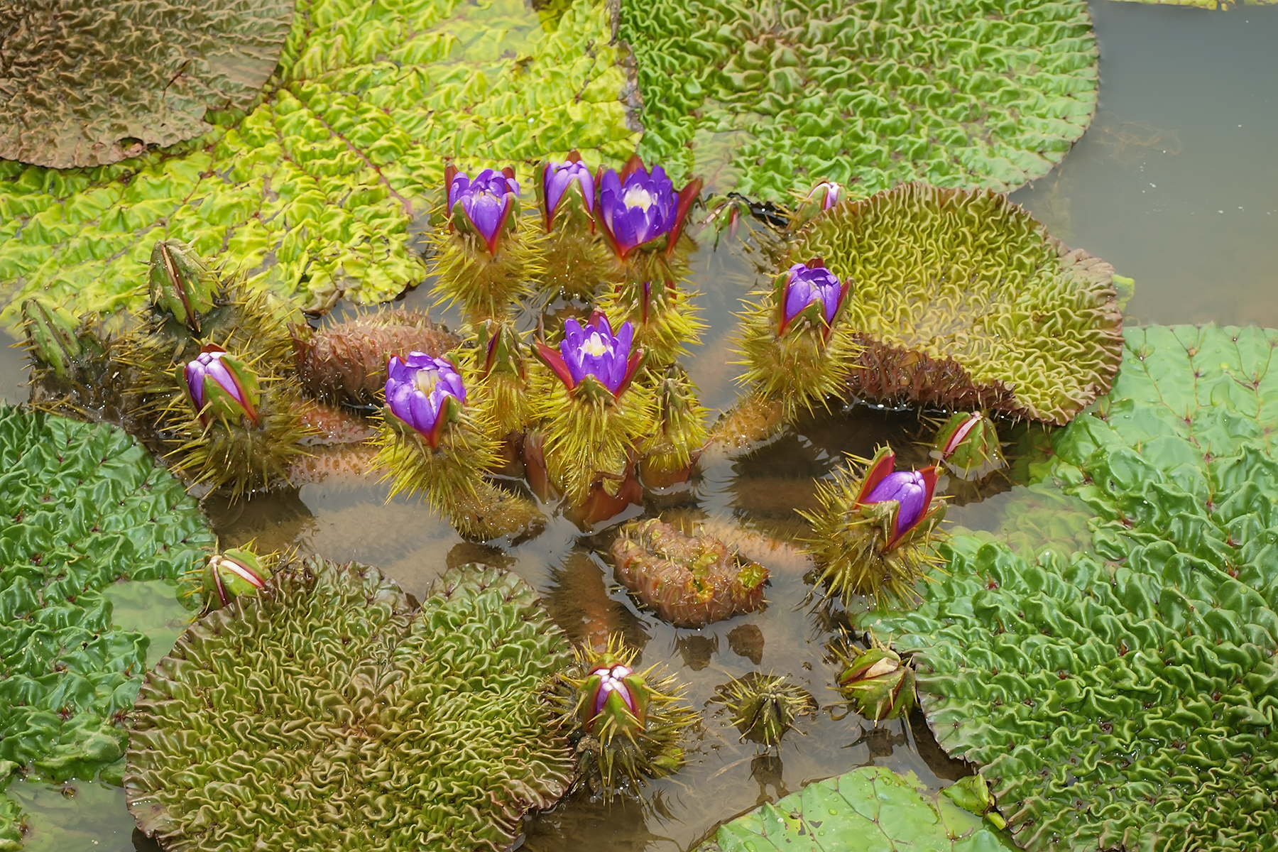 PHOTO BY ChoiJunqSeop | Canon EOS-1D X Mark II | 2024:08:05 09:42:40 | ISO-800 | 1/8000 sec | f 6.3 | 220 mm | EV=0 | ● WIDTH:1800 pixels  HEIGHT:1200 pixels