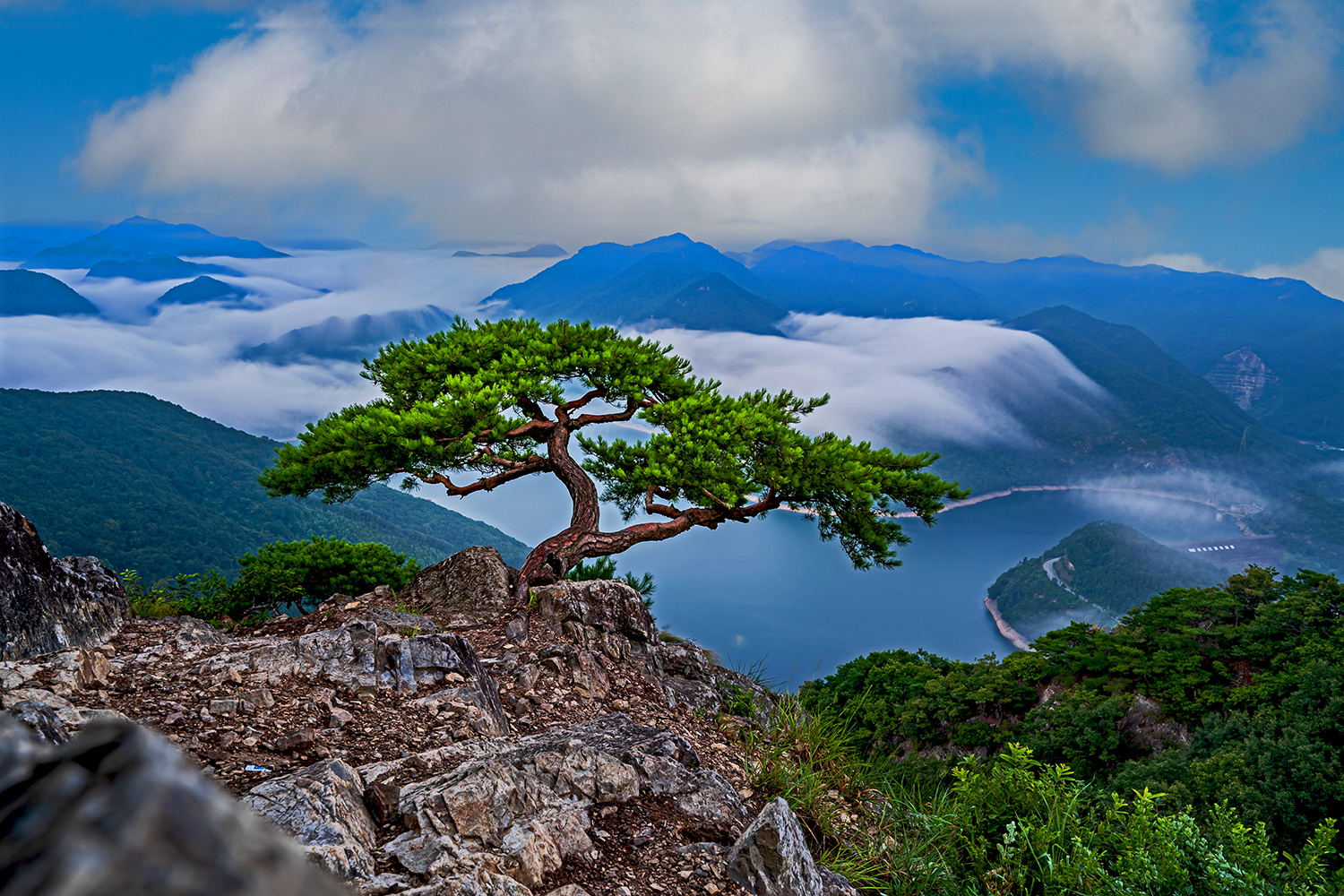 PHOTO BY  | NIKON Z 6_2 | 2024:08:09 05:43:12 | ISO-500 | 1/15 sec | f 8 | 24 mm | EV=0 | ● WIDTH:1500 pixels  HEIGHT:1000 pixels