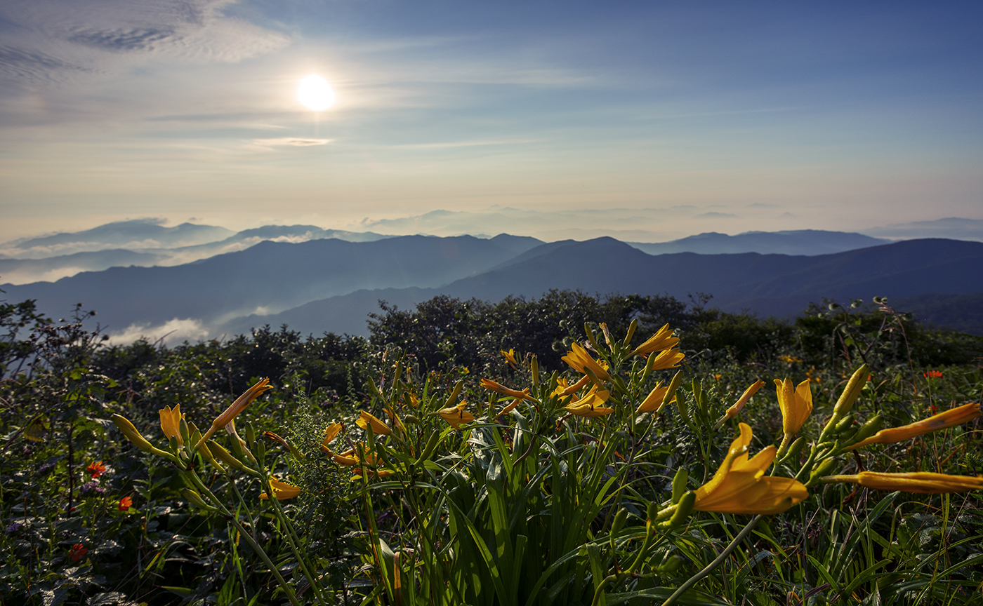 PHOTO BY  | NIKON D850 | 2024:08:08 06:31:06 | ISO-100 | 1/1000 sec | f 8 | 17 mm | EV=-1.7 | ● WIDTH:1400 pixels  HEIGHT:864 pixels