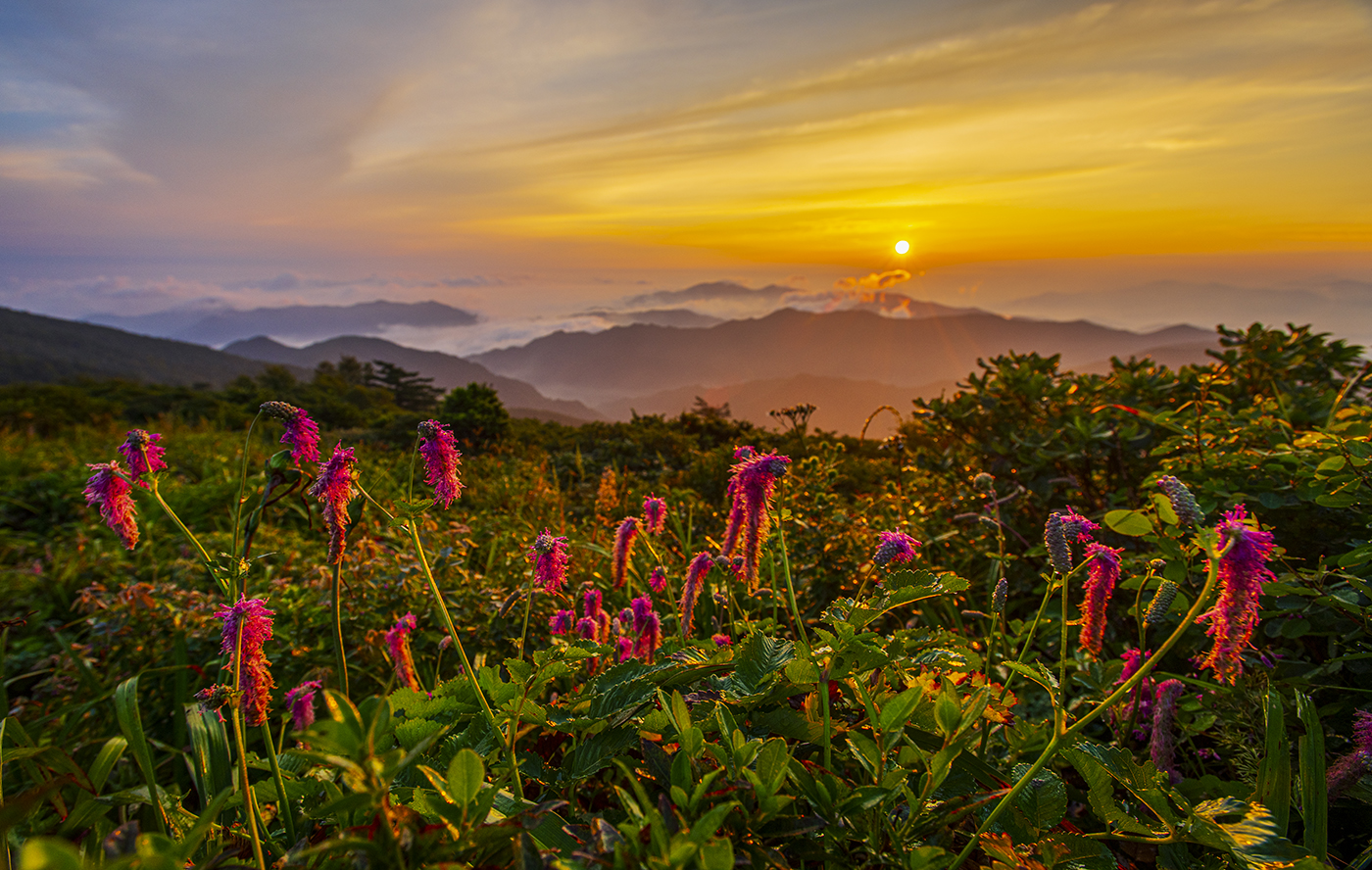 PHOTO BY  | NIKON D850 | 2024:08:08 05:40:44 | ISO-100 | 1/100 sec | f 8 | 17 mm | EV=-2.7 | ● WIDTH:1400 pixels  HEIGHT:888 pixels