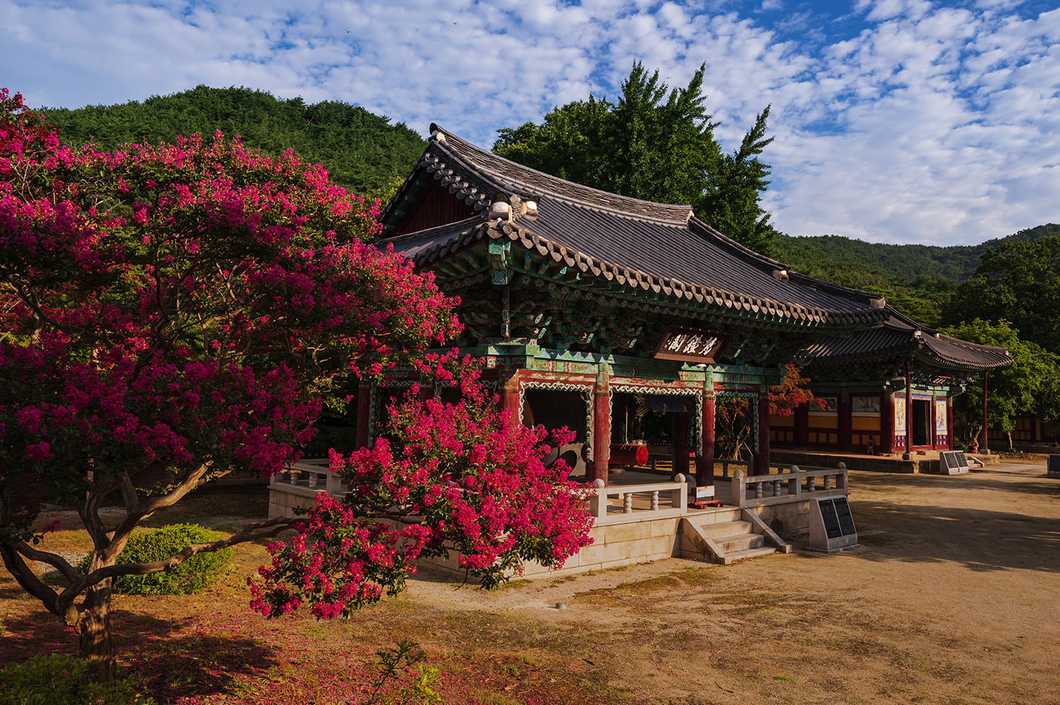 PHOTO BY  | NIKON Z 6_2 | 2024:08:06 07:53:43 | ISO-200 | 1/250 sec | f 10 | 25.5 mm | EV=-0.3 | ● WIDTH:1500 pixels  HEIGHT:998 pixels