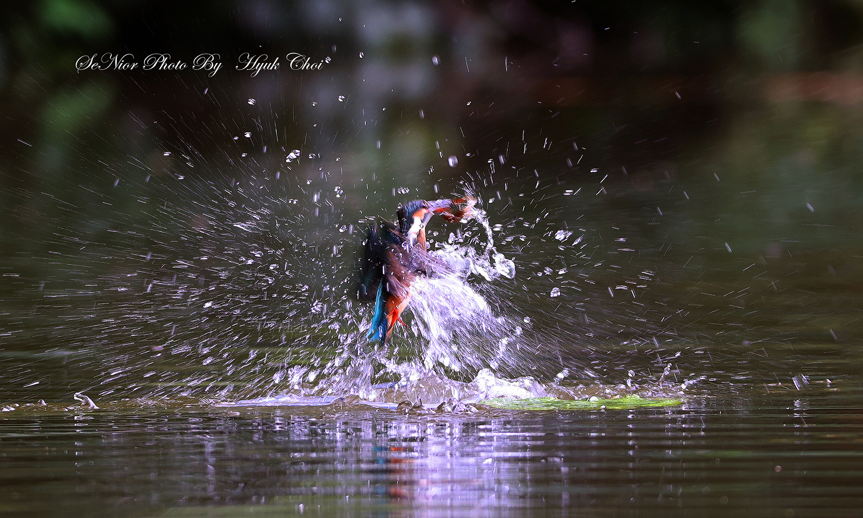 PHOTO BY  | Canon EOS R6 | 2024:07:23 14:21:09 | ISO-800 | 1/200 sec | f 5.6 | 226 mm | EV=0 | ● WIDTH:1750 pixels  HEIGHT:1050 pixels