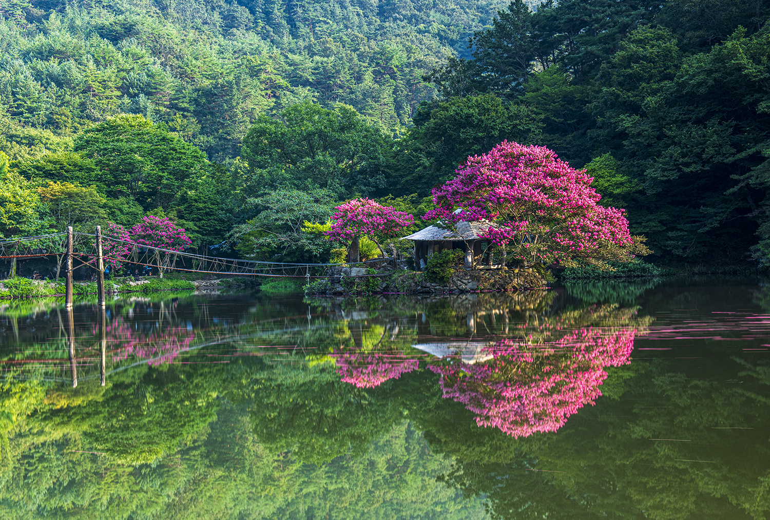 PHOTO BY  | NIKON D850 | 2024:08:10 07:31:52 | ISO-125 | 30/1 sec | f 9 | 48 mm | EV=0 | ● WIDTH:1500 pixels  HEIGHT:1013 pixels