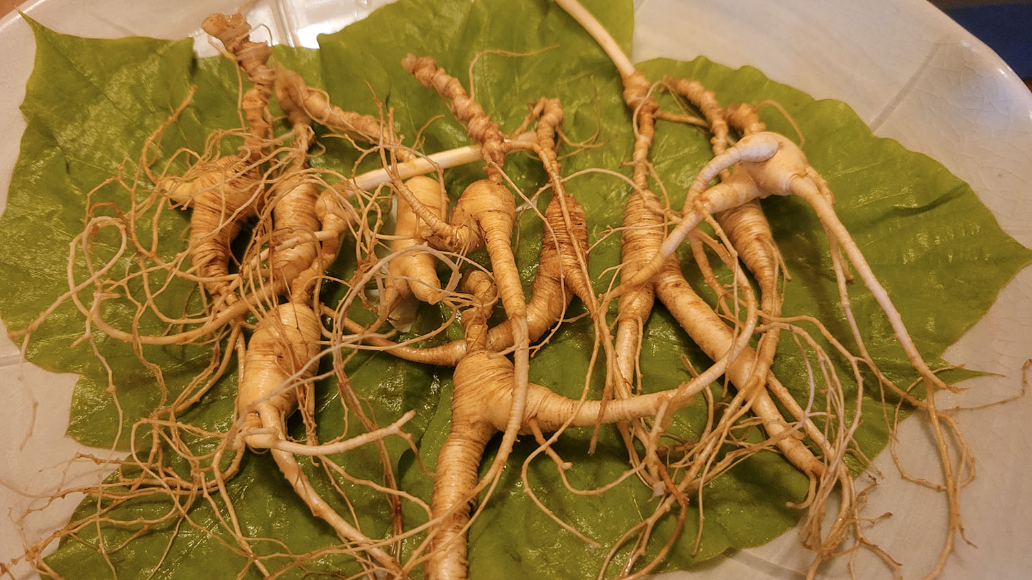 PHOTO BY  | SM-N981N | 2024:08:09 11:22:23 | ISO-640 | 1/40 sec | f 1.8 | 5.4 mm | EV=0 | ● WIDTH:1500 pixels  HEIGHT:844 pixels