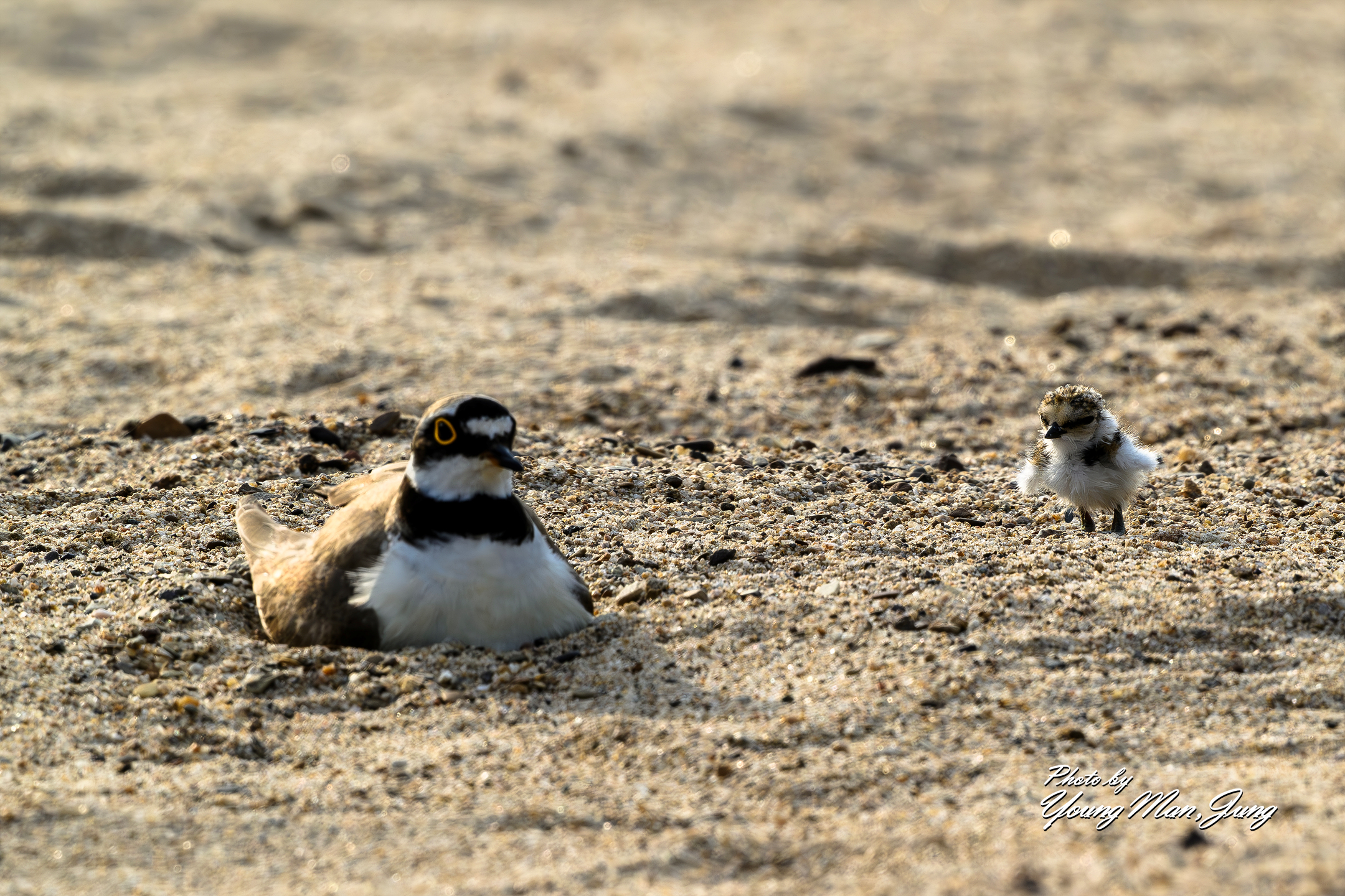   | PHOTO BY : 카파/정영만  |