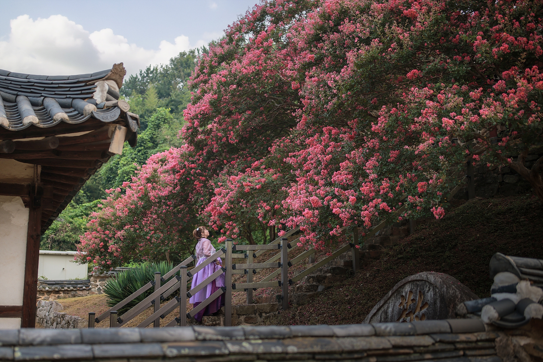 | PHOTO BY : 조현래  |