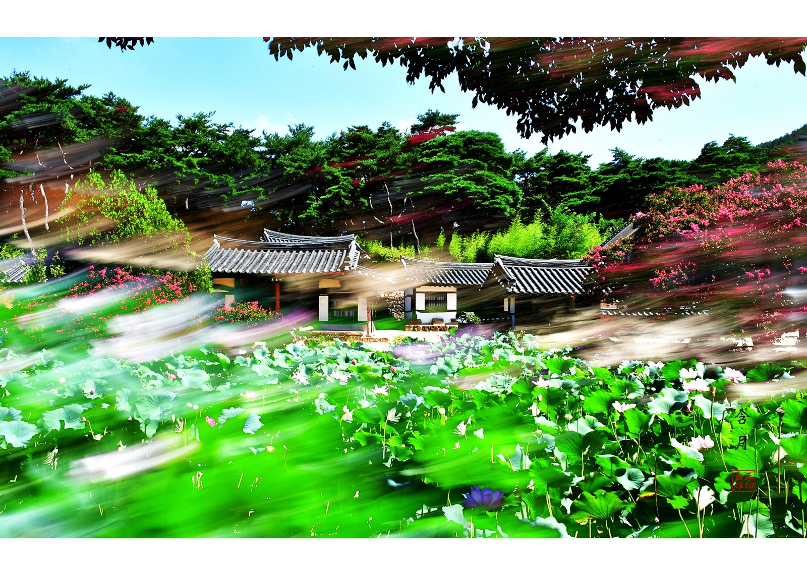 PHOTO BY  | NIKON D5 | 2024:08:12 10:24:31 | ISO-100 | 1/8 sec | f 22 | 70 mm | EV=0 | ● WIDTH:5565 pixels  HEIGHT:3710 pixels