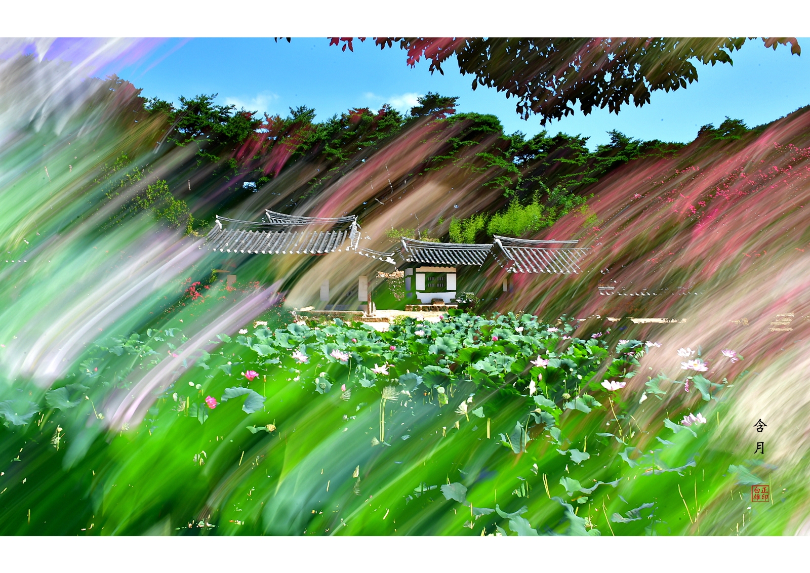 PHOTO BY  | NIKON D5 | 2024:08:12 10:26:44 | ISO-100 | 1/6 sec | f 22 | 70 mm | EV=0 | ● WIDTH:5565 pixels  HEIGHT:3710 pixels