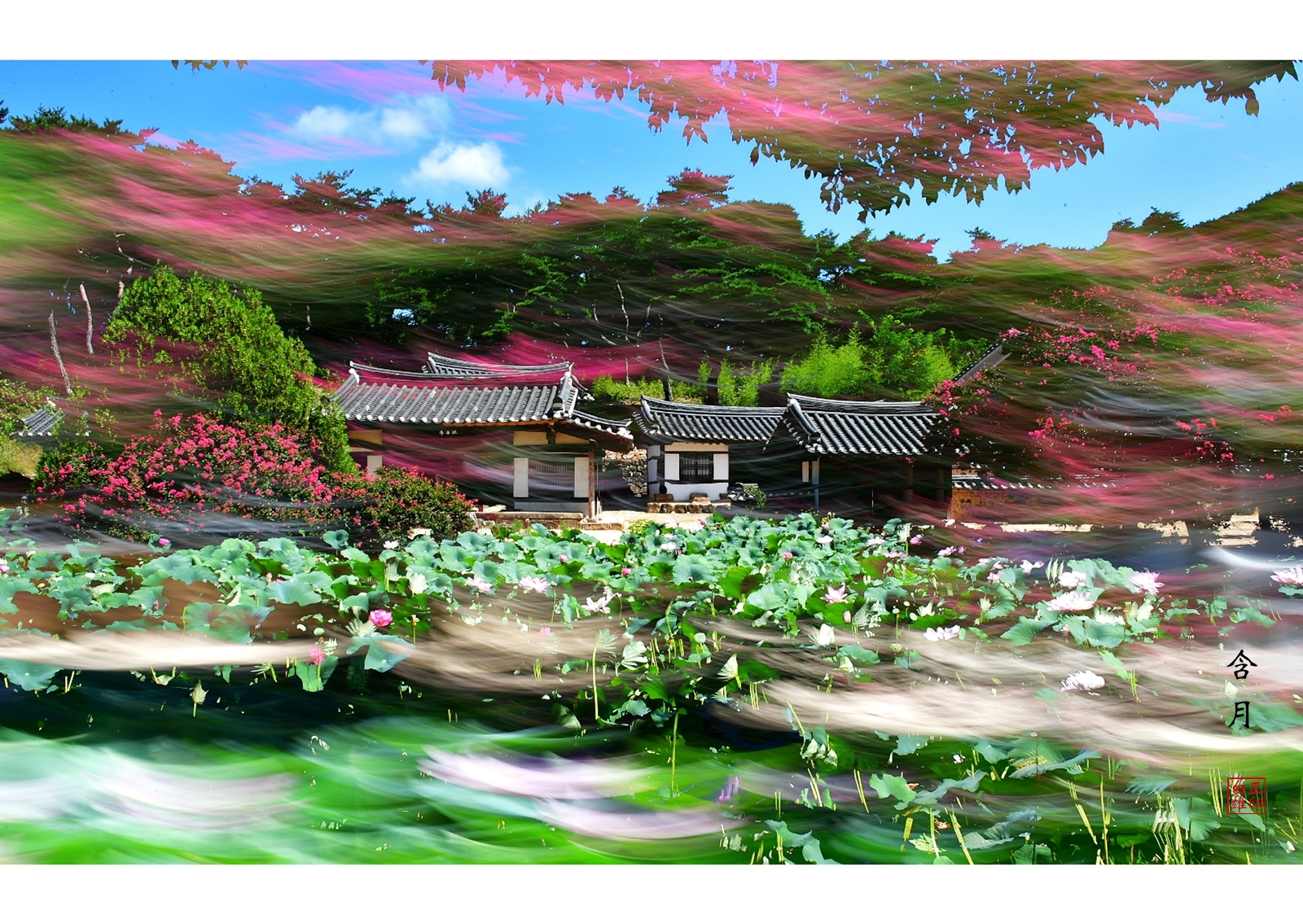 PHOTO BY  | NIKON D5 | 2024:08:12 10:33:31 | ISO-100 | 1/10 sec | f 22 | 70 mm | EV=0 | ● WIDTH:5565 pixels  HEIGHT:3710 pixels